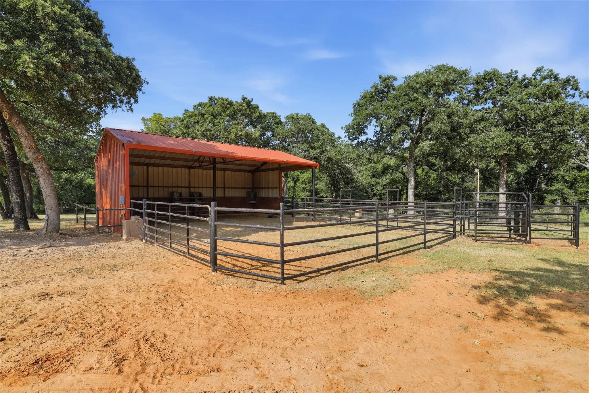 Mare Shed with chute