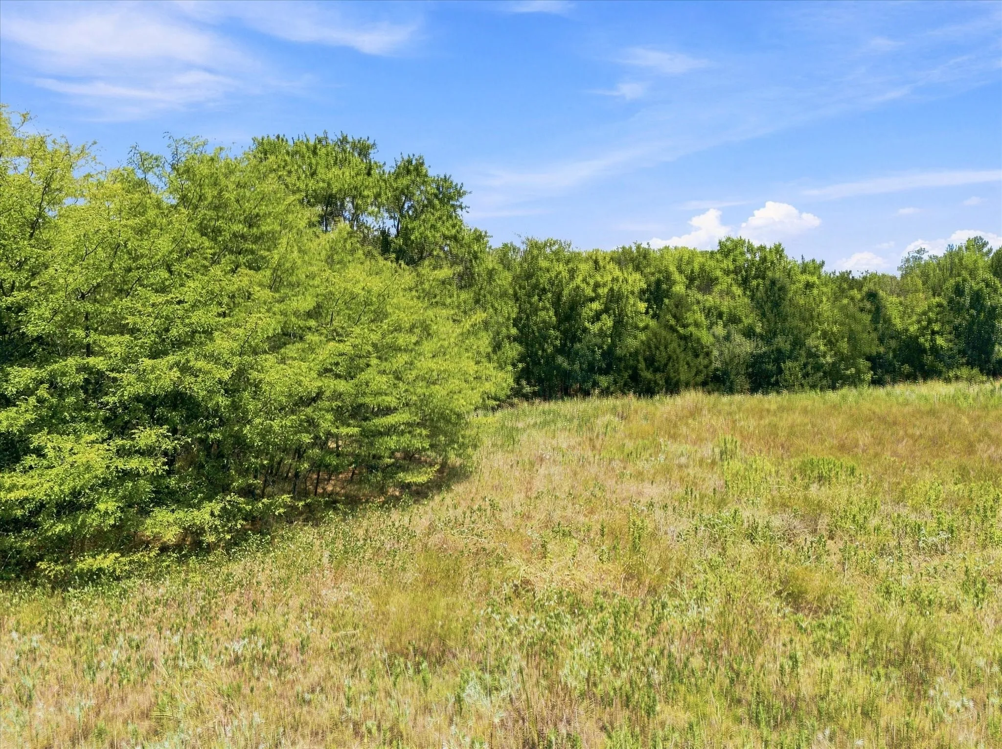 Improved Land For Sale in Hunt County , 457 Miles Lane, Greenville, Texas 75401, 0, 0, Garage spaces, 0 Sqft, built in 0, Price $599,000, mls#21354460, Real Estate Agent in Greenville, Homes For Sale in Hunt county, Homes For Sale in Greenville, Realtor in Greenville Texas, Real Estate Brokerage Independent Realty Texas, Luminita Cordes Realtor