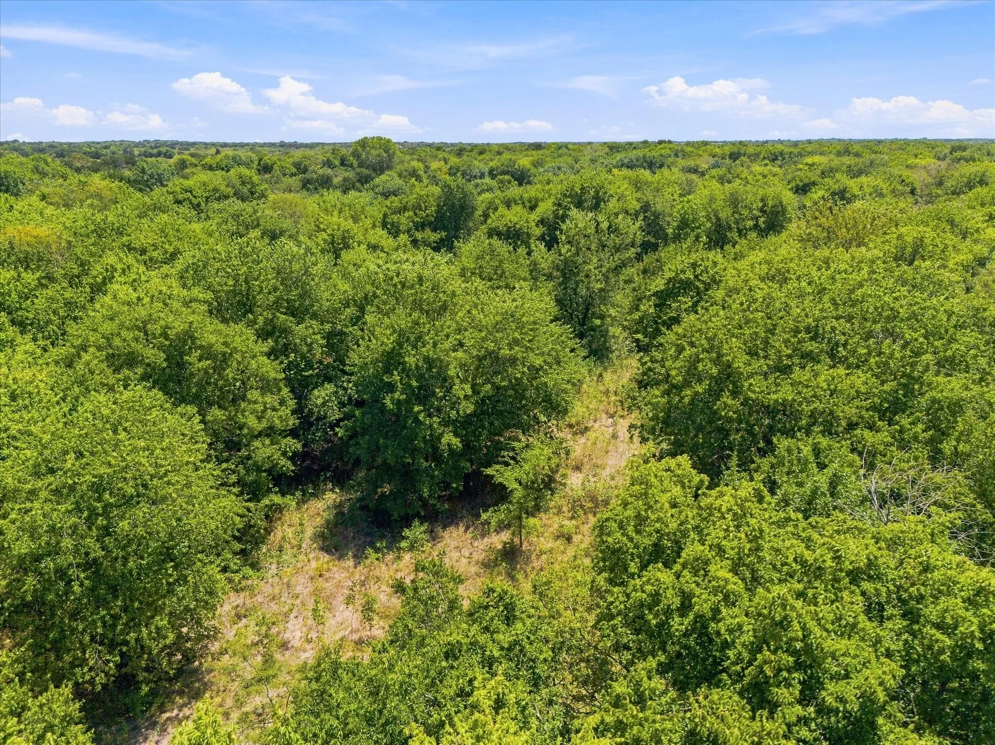Improved Land For Sale in Hunt County , 457 Miles Lane, Greenville, Texas 75401, 0, 0, Garage spaces, 0 Sqft, built in 0, Price $599,000, mls#21354460, Real Estate Agent in Greenville, Homes For Sale in Hunt county, Homes For Sale in Greenville, Realtor in Greenville Texas, Real Estate Brokerage Independent Realty Texas, Luminita Cordes Realtor