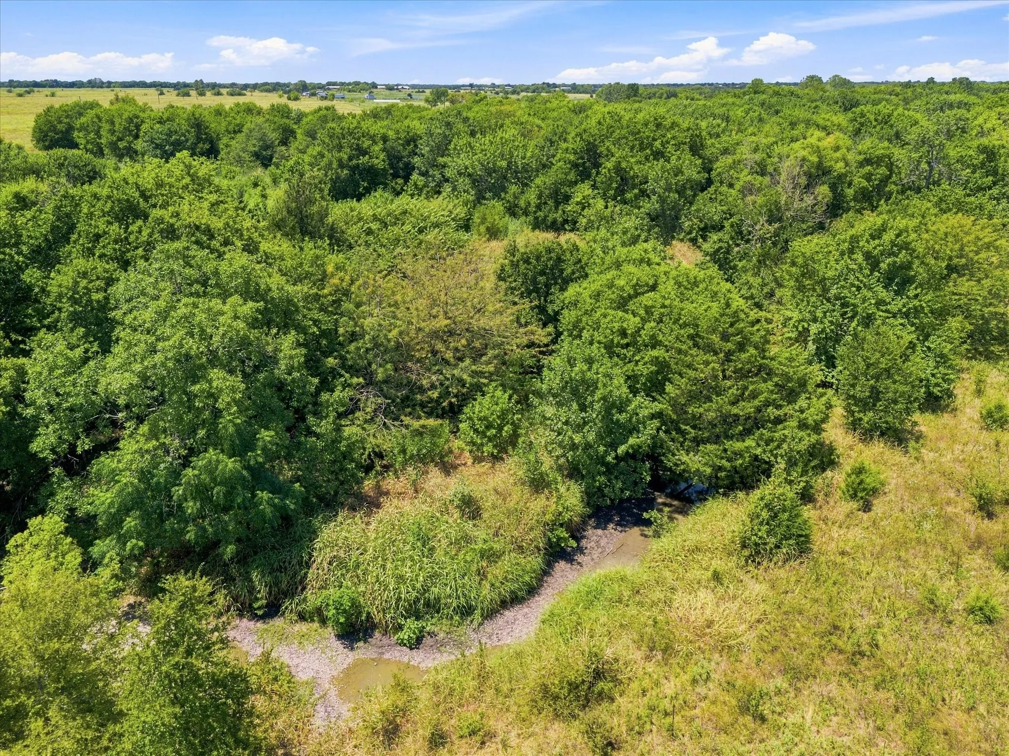 Improved Land For Sale in Hunt County , 457 Miles Lane, Greenville, Texas 75401, 0, 0, Garage spaces, 0 Sqft, built in 0, Price $599,000, mls#21354460, Real Estate Agent in Greenville, Homes For Sale in Hunt county, Homes For Sale in Greenville, Realtor in Greenville Texas, Real Estate Brokerage Independent Realty Texas, Luminita Cordes Realtor