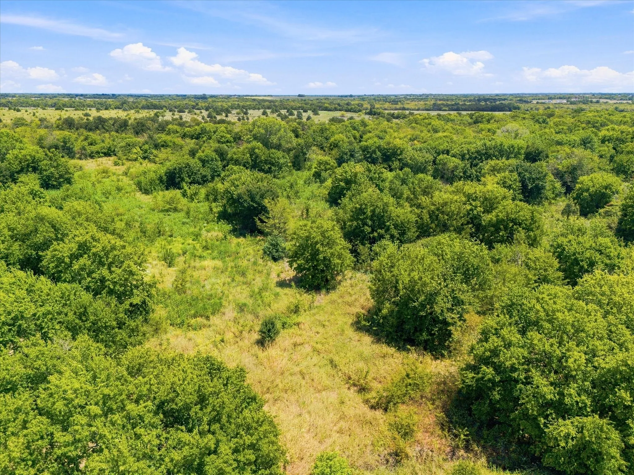 Improved Land For Sale in Hunt County , 457 Miles Lane, Greenville, Texas 75401, 0, 0, Garage spaces, 0 Sqft, built in 0, Price $599,000, mls#21354460, Real Estate Agent in Greenville, Homes For Sale in Hunt county, Homes For Sale in Greenville, Realtor in Greenville Texas, Real Estate Brokerage Independent Realty Texas, Luminita Cordes Realtor