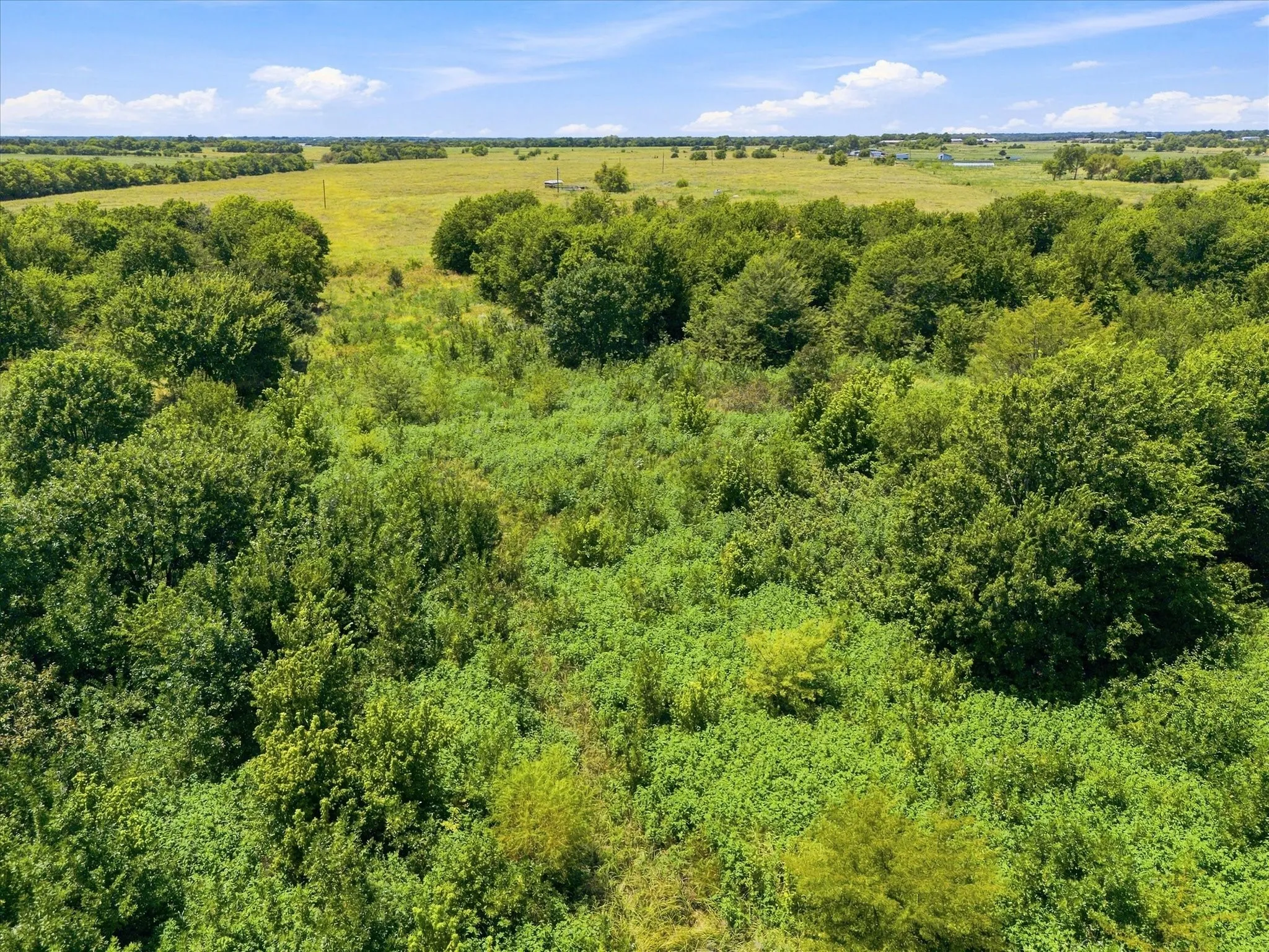Improved Land For Sale in Hunt County , 457 Miles Lane, Greenville, Texas 75401, 0, 0, Garage spaces, 0 Sqft, built in 0, Price $599,000, mls#21354460, Real Estate Agent in Greenville, Homes For Sale in Hunt county, Homes For Sale in Greenville, Realtor in Greenville Texas, Real Estate Brokerage Independent Realty Texas, Luminita Cordes Realtor