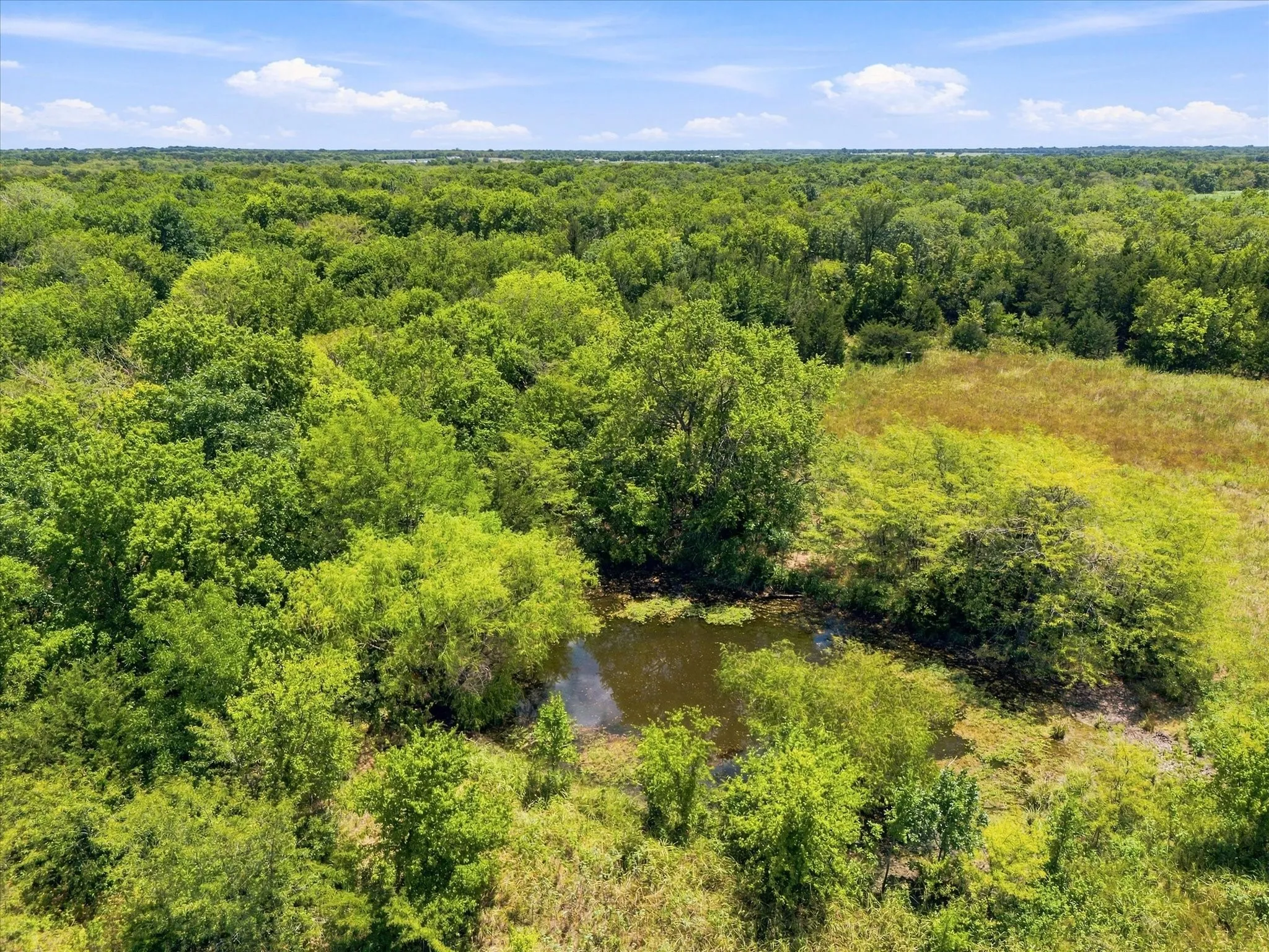 Improved Land For Sale in Hunt County , 457 Miles Lane, Greenville, Texas 75401, 0, 0, Garage spaces, 0 Sqft, built in 0, Price $599,000, mls#21354460, Real Estate Agent in Greenville, Homes For Sale in Hunt county, Homes For Sale in Greenville, Realtor in Greenville Texas, Real Estate Brokerage Independent Realty Texas, Luminita Cordes Realtor