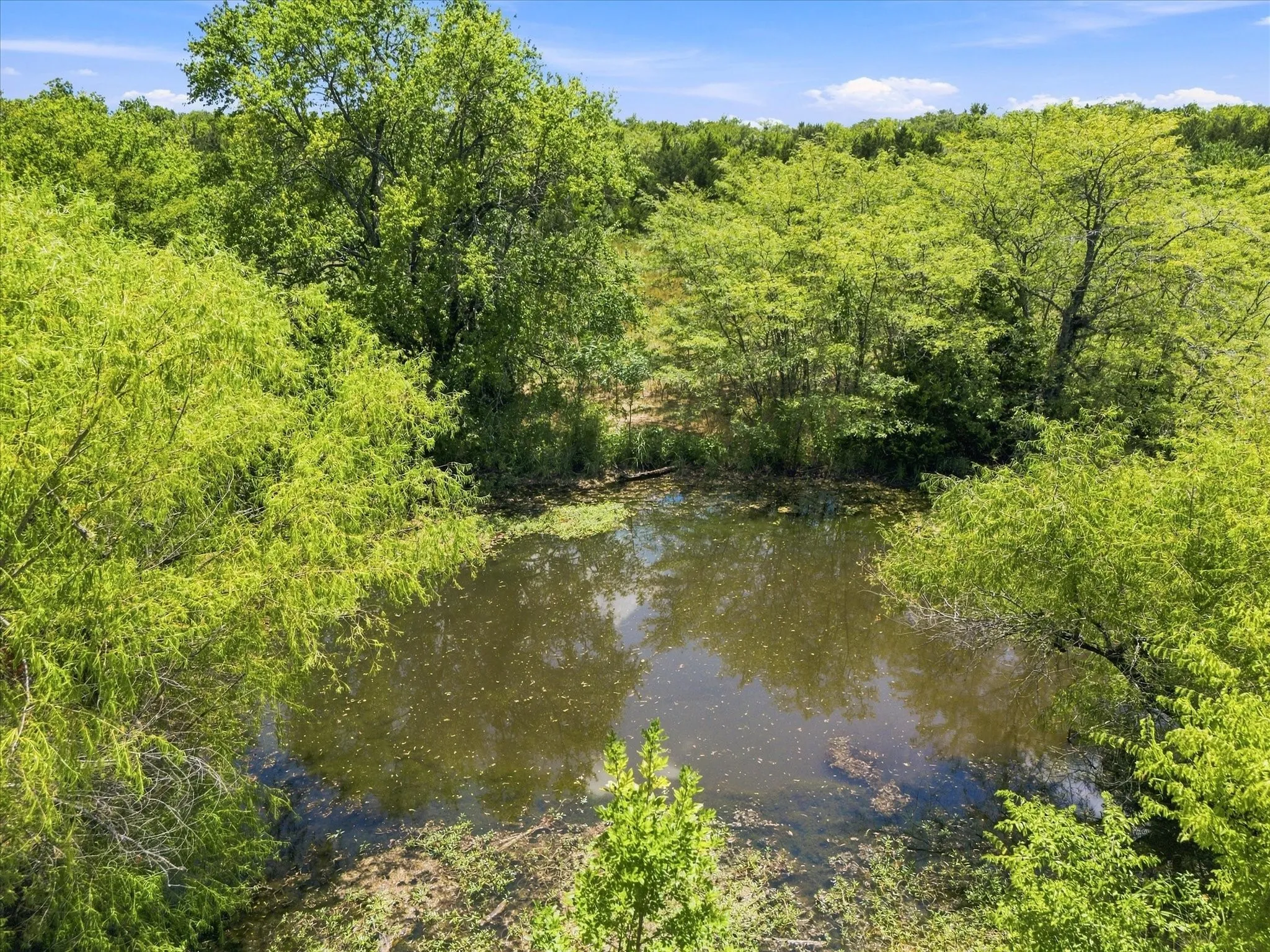 Improved Land For Sale in Hunt County , 457 Miles Lane, Greenville, Texas 75401, 0, 0, Garage spaces, 0 Sqft, built in 0, Price $599,000, mls#21354460, Real Estate Agent in Greenville, Homes For Sale in Hunt county, Homes For Sale in Greenville, Realtor in Greenville Texas, Real Estate Brokerage Independent Realty Texas, Luminita Cordes Realtor