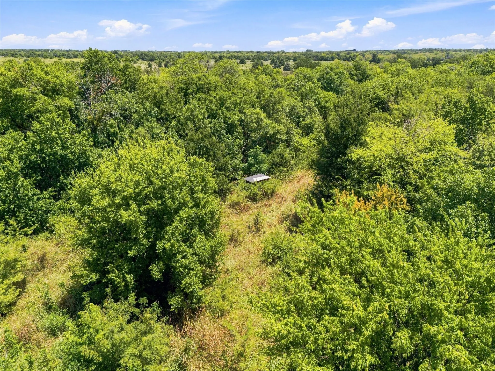 Improved Land For Sale in Hunt County , 457 Miles Lane, Greenville, Texas 75401, 0, 0, Garage spaces, 0 Sqft, built in 0, Price $599,000, mls#21354460, Real Estate Agent in Greenville, Homes For Sale in Hunt county, Homes For Sale in Greenville, Realtor in Greenville Texas, Real Estate Brokerage Independent Realty Texas, Luminita Cordes Realtor