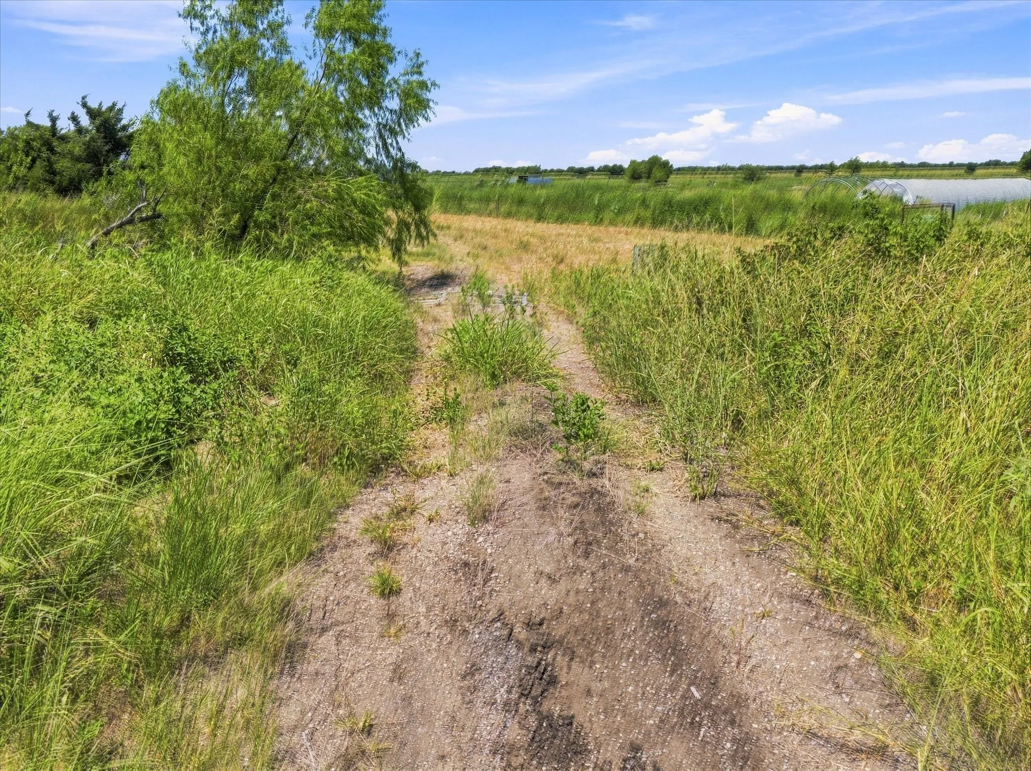 Improved Land For Sale in Hunt County , 457 Miles Lane, Greenville, Texas 75401, 0, 0, Garage spaces, 0 Sqft, built in 0, Price $599,000, mls#21354460, Real Estate Agent in Greenville, Homes For Sale in Hunt county, Homes For Sale in Greenville, Realtor in Greenville Texas, Real Estate Brokerage Independent Realty Texas, Luminita Cordes Realtor