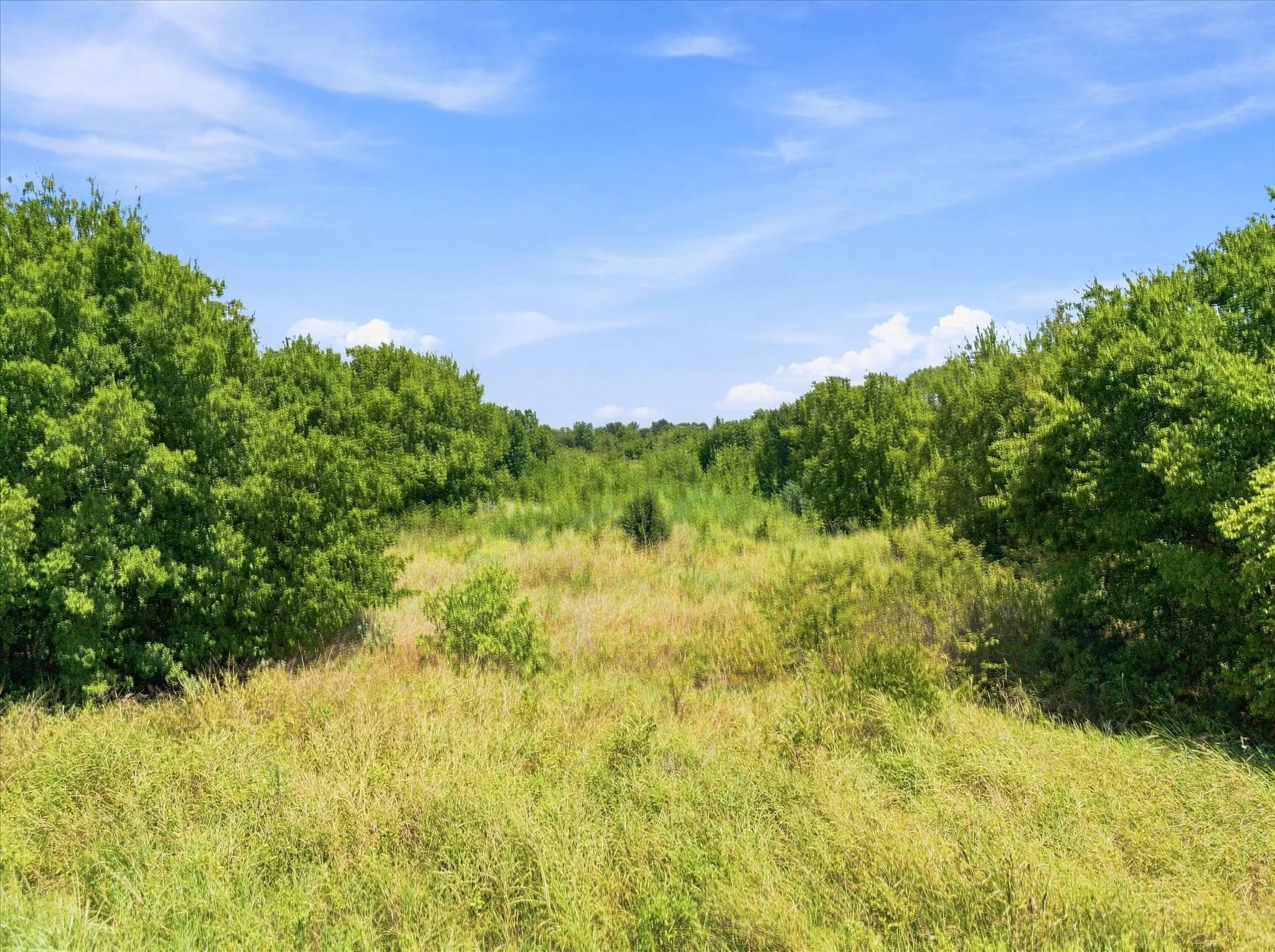 Improved Land For Sale in Hunt County , 457 Miles Lane, Greenville, Texas 75401, 0, 0, Garage spaces, 0 Sqft, built in 0, Price $599,000, mls#21354460, Real Estate Agent in Greenville, Homes For Sale in Hunt county, Homes For Sale in Greenville, Realtor in Greenville Texas, Real Estate Brokerage Independent Realty Texas, Luminita Cordes Realtor