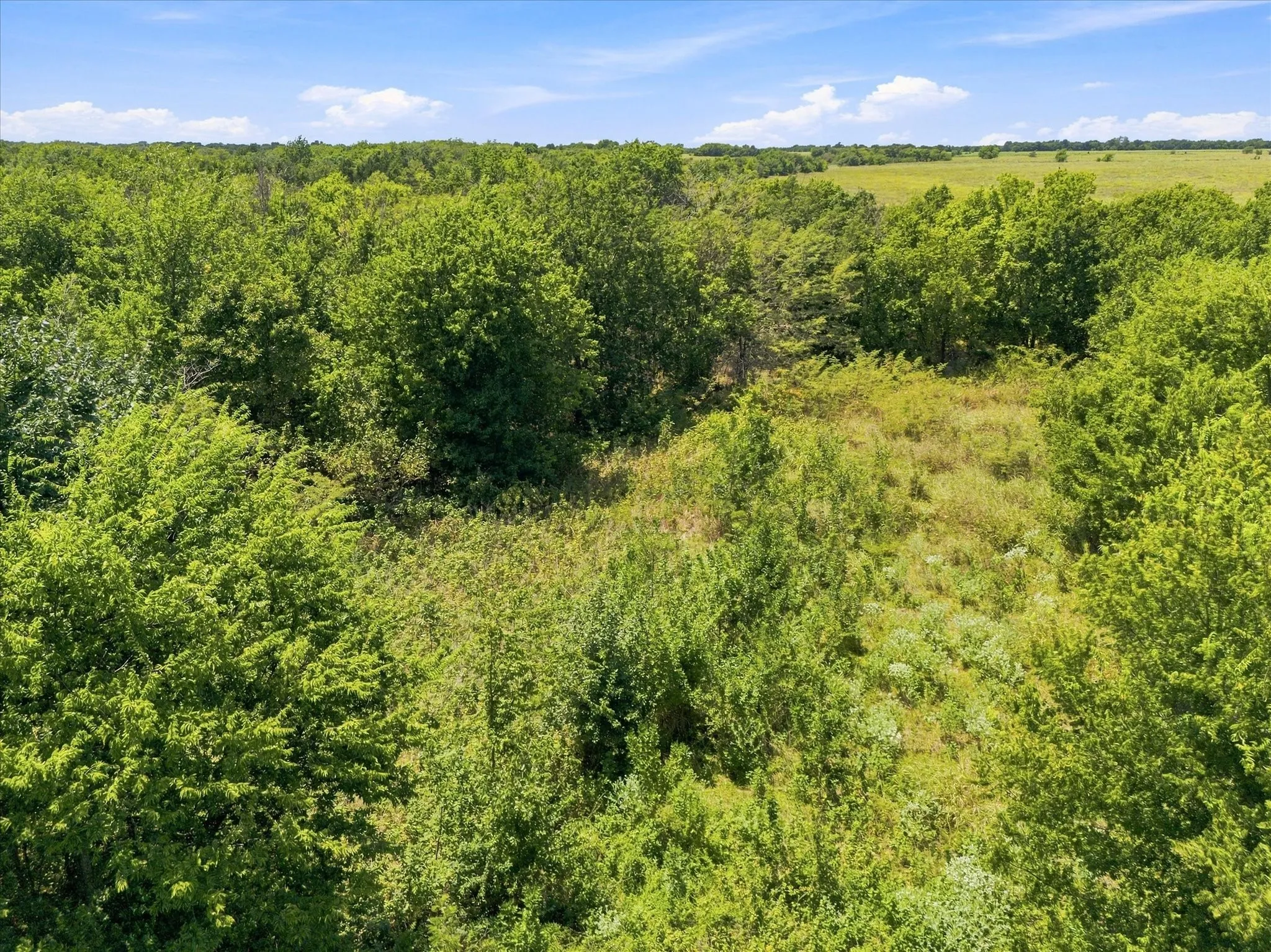 Improved Land For Sale in Hunt County , 457 Miles Lane, Greenville, Texas 75401, 0, 0, Garage spaces, 0 Sqft, built in 0, Price $599,000, mls#21354460, Real Estate Agent in Greenville, Homes For Sale in Hunt county, Homes For Sale in Greenville, Realtor in Greenville Texas, Real Estate Brokerage Independent Realty Texas, Luminita Cordes Realtor