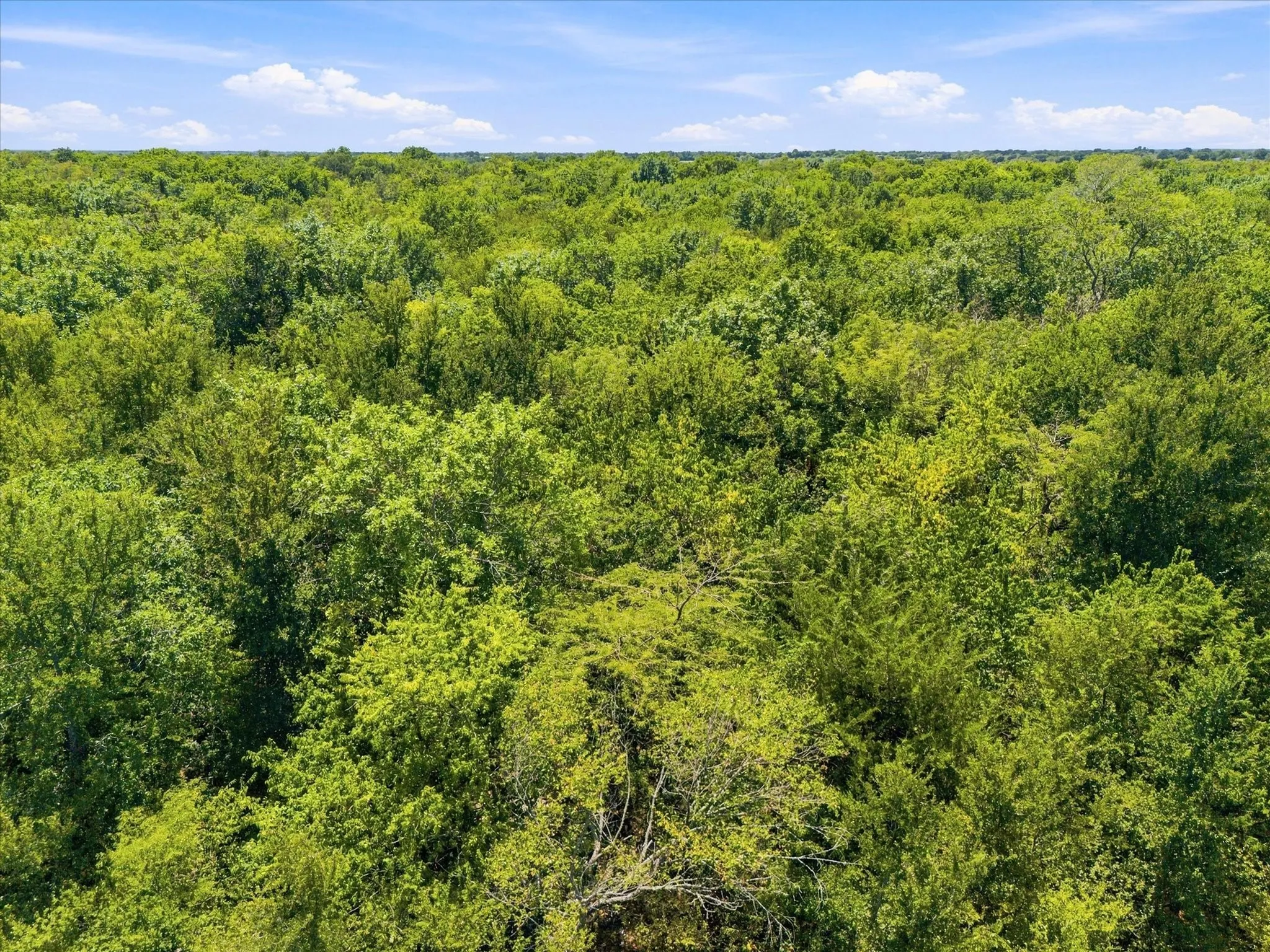 Improved Land For Sale in Hunt County , 457 Miles Lane, Greenville, Texas 75401, 0, 0, Garage spaces, 0 Sqft, built in 0, Price $599,000, mls#21354460, Real Estate Agent in Greenville, Homes For Sale in Hunt county, Homes For Sale in Greenville, Realtor in Greenville Texas, Real Estate Brokerage Independent Realty Texas, Luminita Cordes Realtor