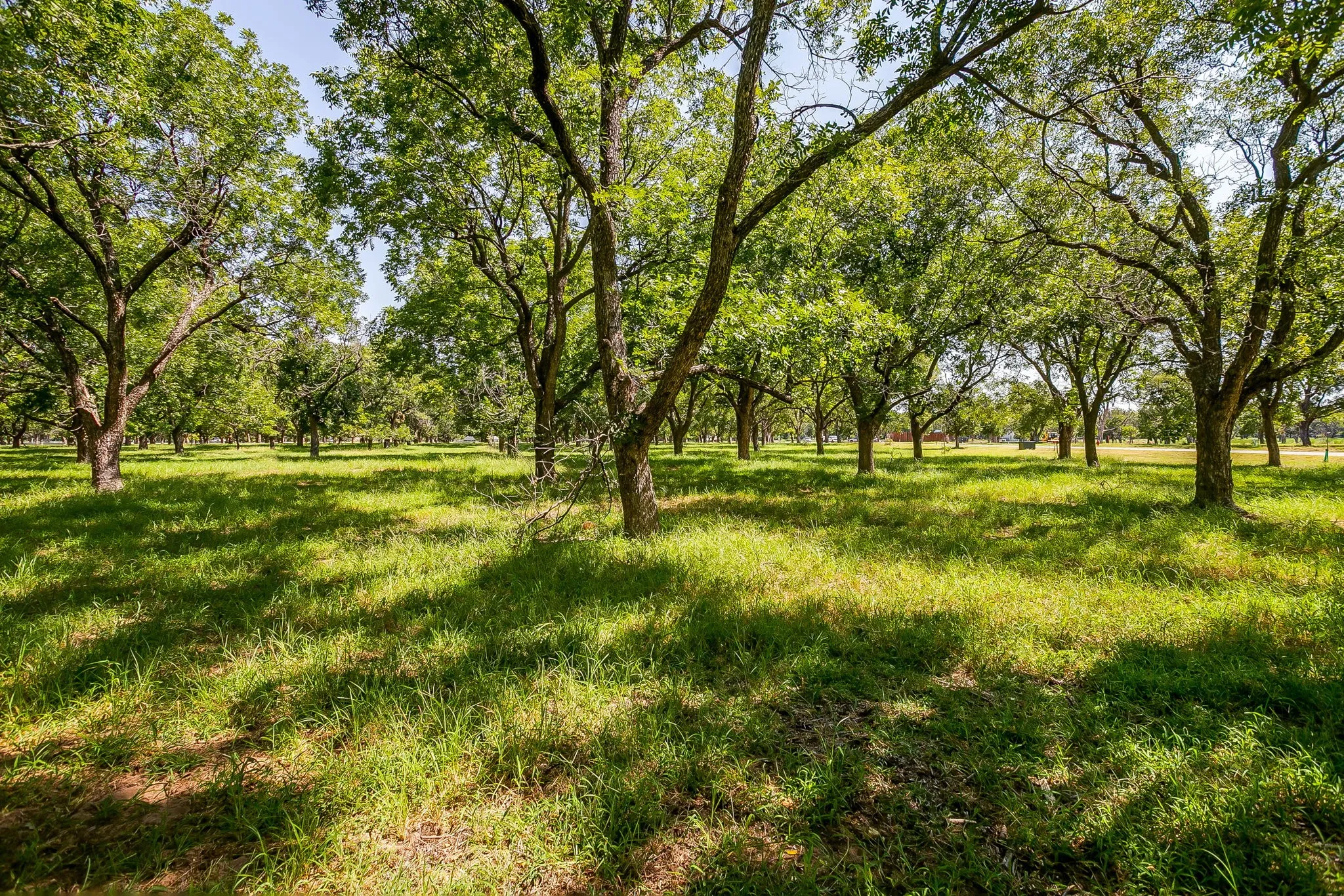Unimproved Land For Sale in Hood County , 2525 Buckskin Drive, Granbury, Texas 76049, 0, 0, Garage spaces, 0 Sqft, built in 0, Price $240,000, mls#21354480, Real Estate Agent in Granbury, Homes For Sale in Hood county, Homes For Sale in Granbury, Realtor in Granbury Texas, Real Estate Brokerage Independent Realty Texas, Luminita Cordes Realtor