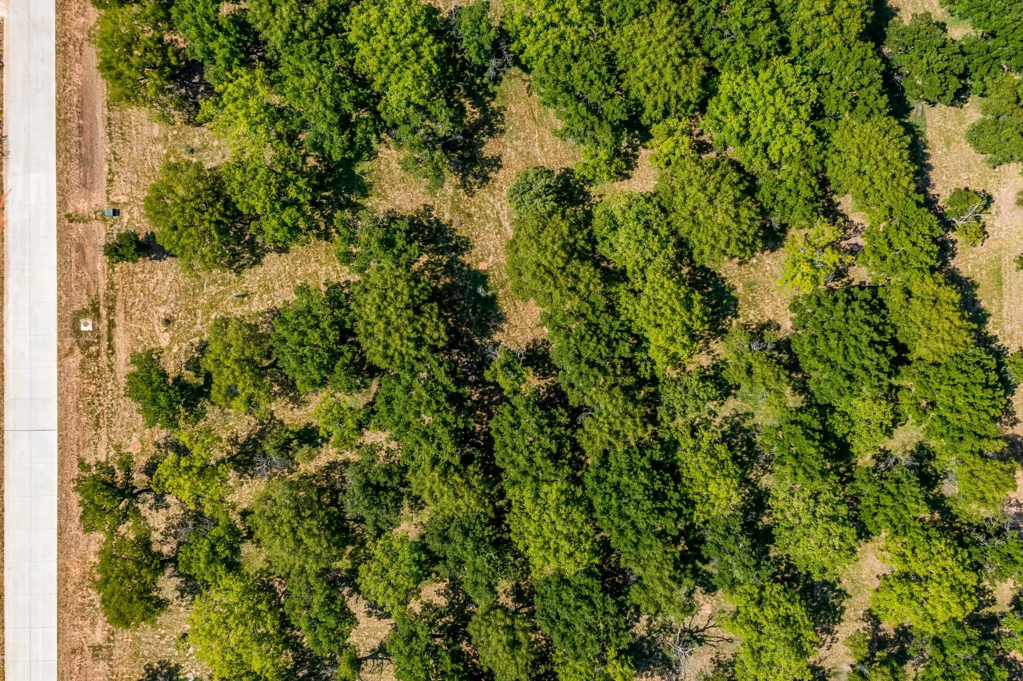 Unimproved Land For Sale in Hood County , 2525 Buckskin Drive, Granbury, Texas 76049, 0, 0, Garage spaces, 0 Sqft, built in 0, Price $240,000, mls#21354480, Real Estate Agent in Granbury, Homes For Sale in Hood county, Homes For Sale in Granbury, Realtor in Granbury Texas, Real Estate Brokerage Independent Realty Texas, Luminita Cordes Realtor