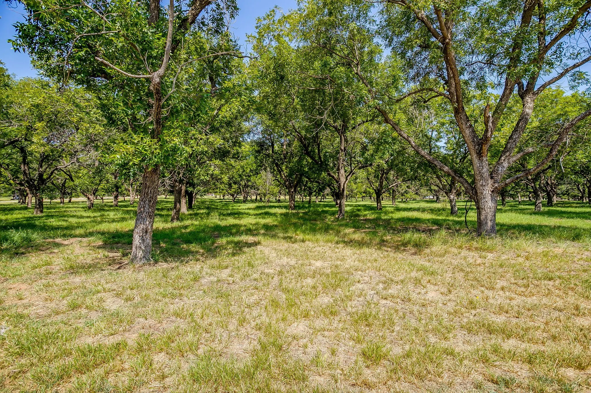 Unimproved Land For Sale in Hood County , 2525 Buckskin Drive, Granbury, Texas 76049, 0, 0, Garage spaces, 0 Sqft, built in 0, Price $240,000, mls#21354480, Real Estate Agent in Granbury, Homes For Sale in Hood county, Homes For Sale in Granbury, Realtor in Granbury Texas, Real Estate Brokerage Independent Realty Texas, Luminita Cordes Realtor