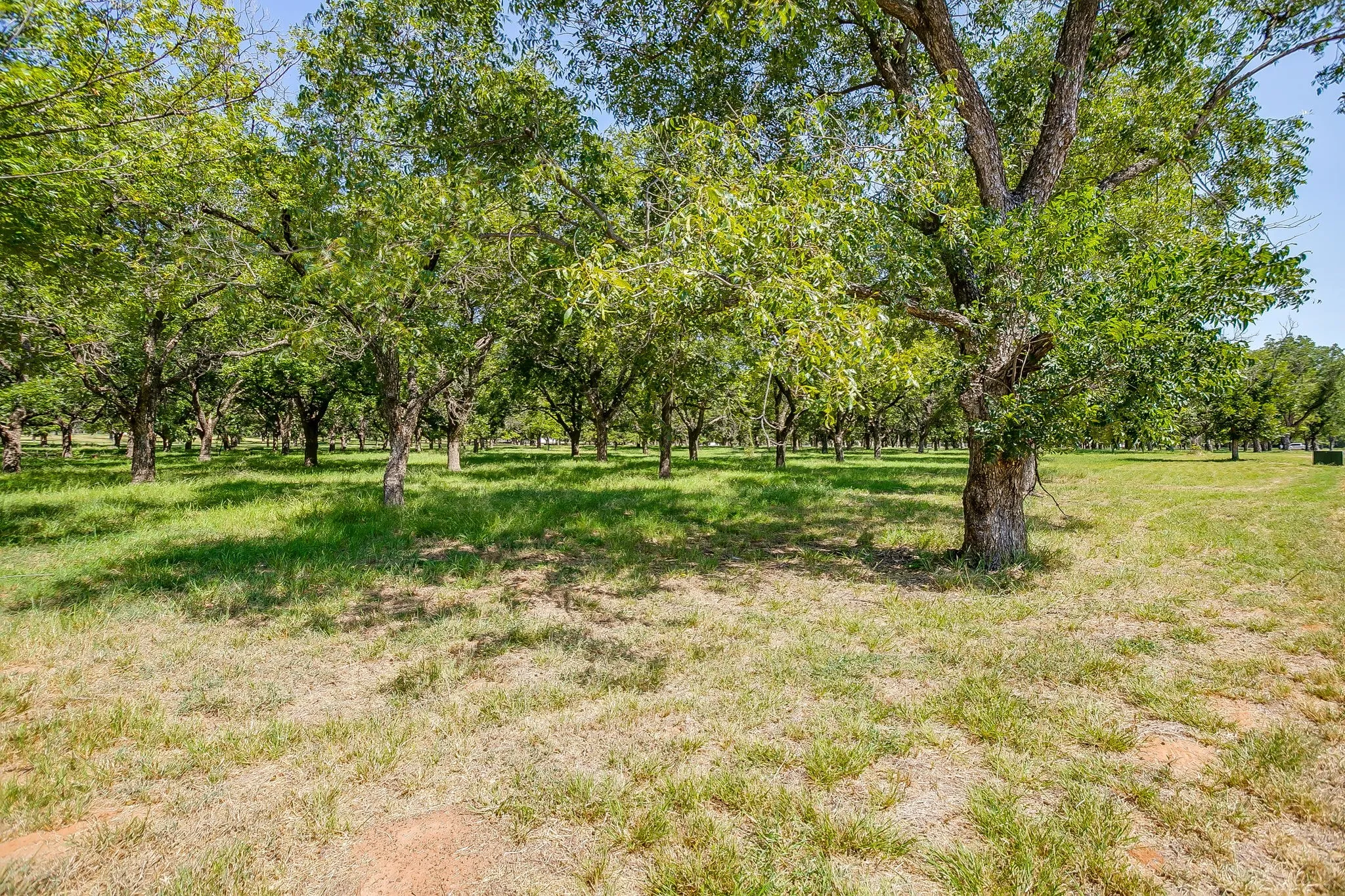 Unimproved Land For Sale in Hood County , 2525 Buckskin Drive, Granbury, Texas 76049, 0, 0, Garage spaces, 0 Sqft, built in 0, Price $240,000, mls#21354480, Real Estate Agent in Granbury, Homes For Sale in Hood county, Homes For Sale in Granbury, Realtor in Granbury Texas, Real Estate Brokerage Independent Realty Texas, Luminita Cordes Realtor