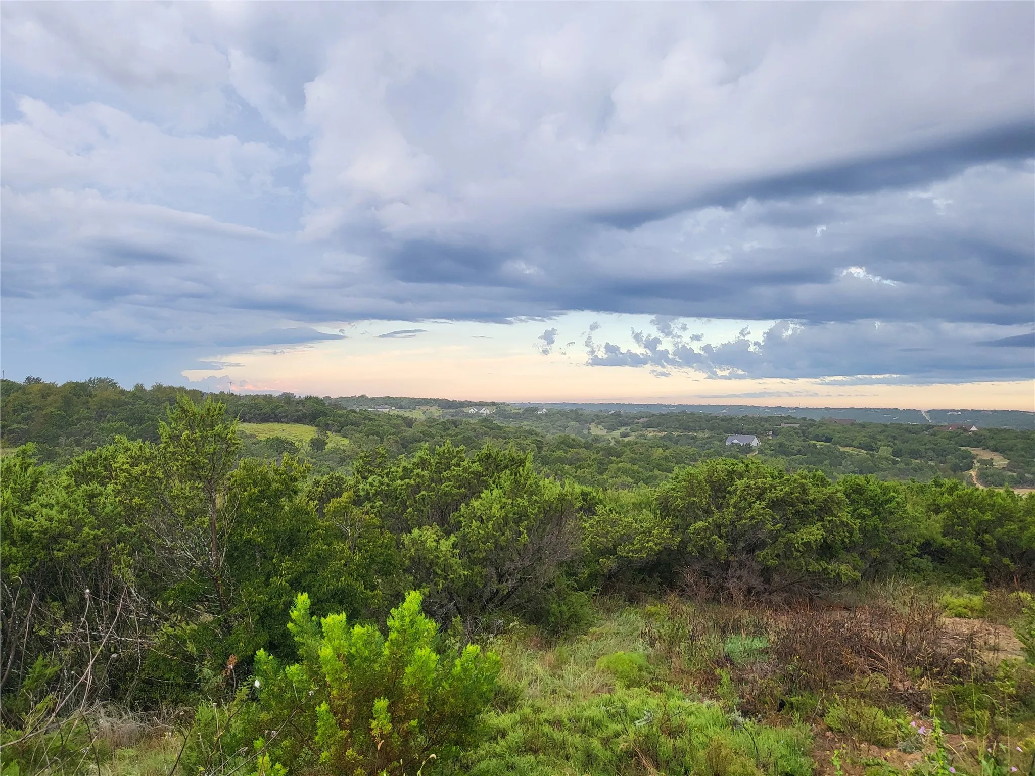 Views of the rolling hillside.
