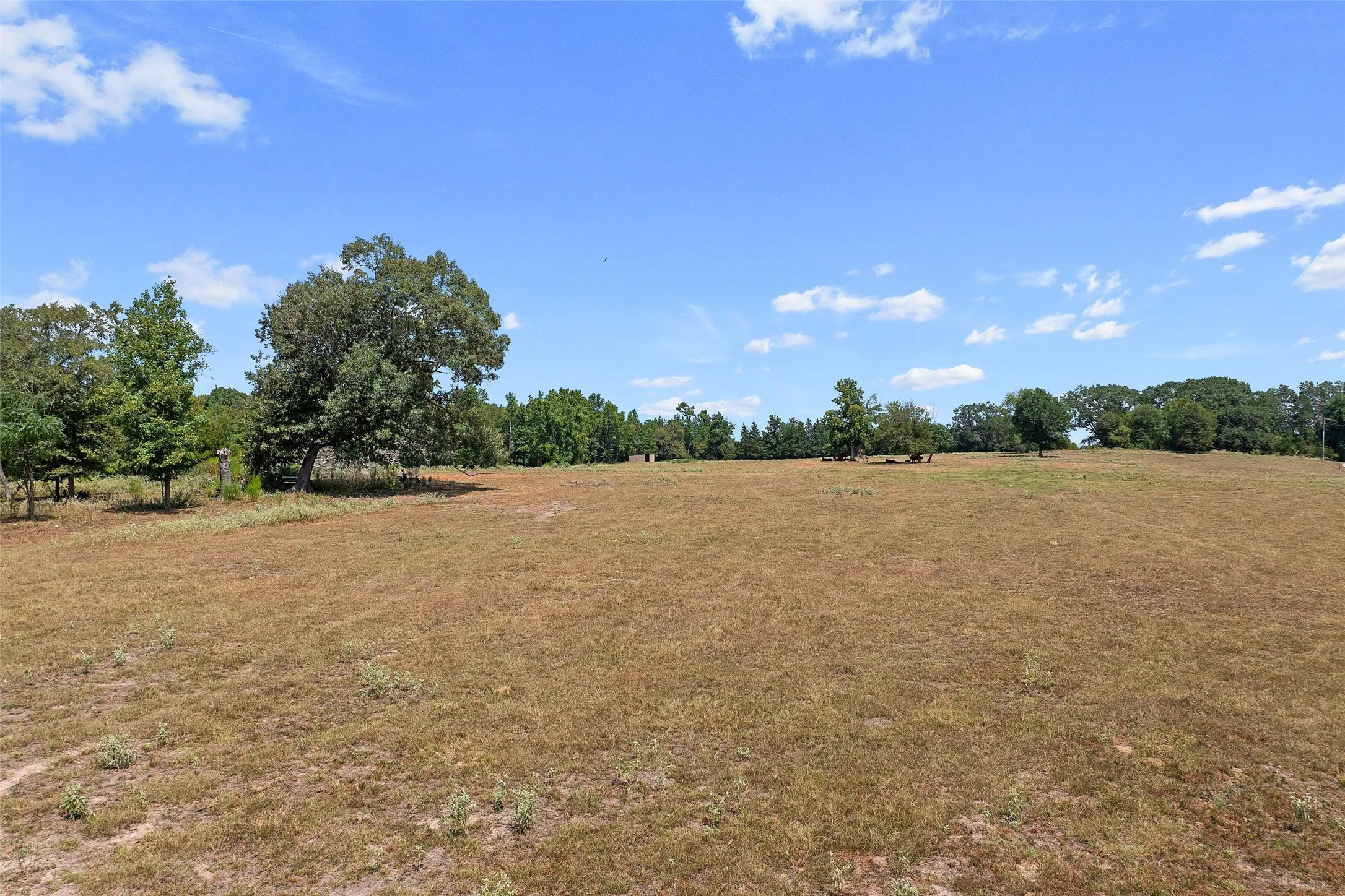 Improved Land For Sale in Morris County , 459 County Road 3303, Omaha, Texas 75571, 0, 0, Garage spaces, 0 Sqft, built in 0, mls#21354528, Real Estate Agent in Omaha, Homes For Sale in Morris county, Homes For Sale in Omaha, Realtor in Omaha Texas, Real Estate Brokerage Independent Realty Texas, Luminita Cordes Realtor