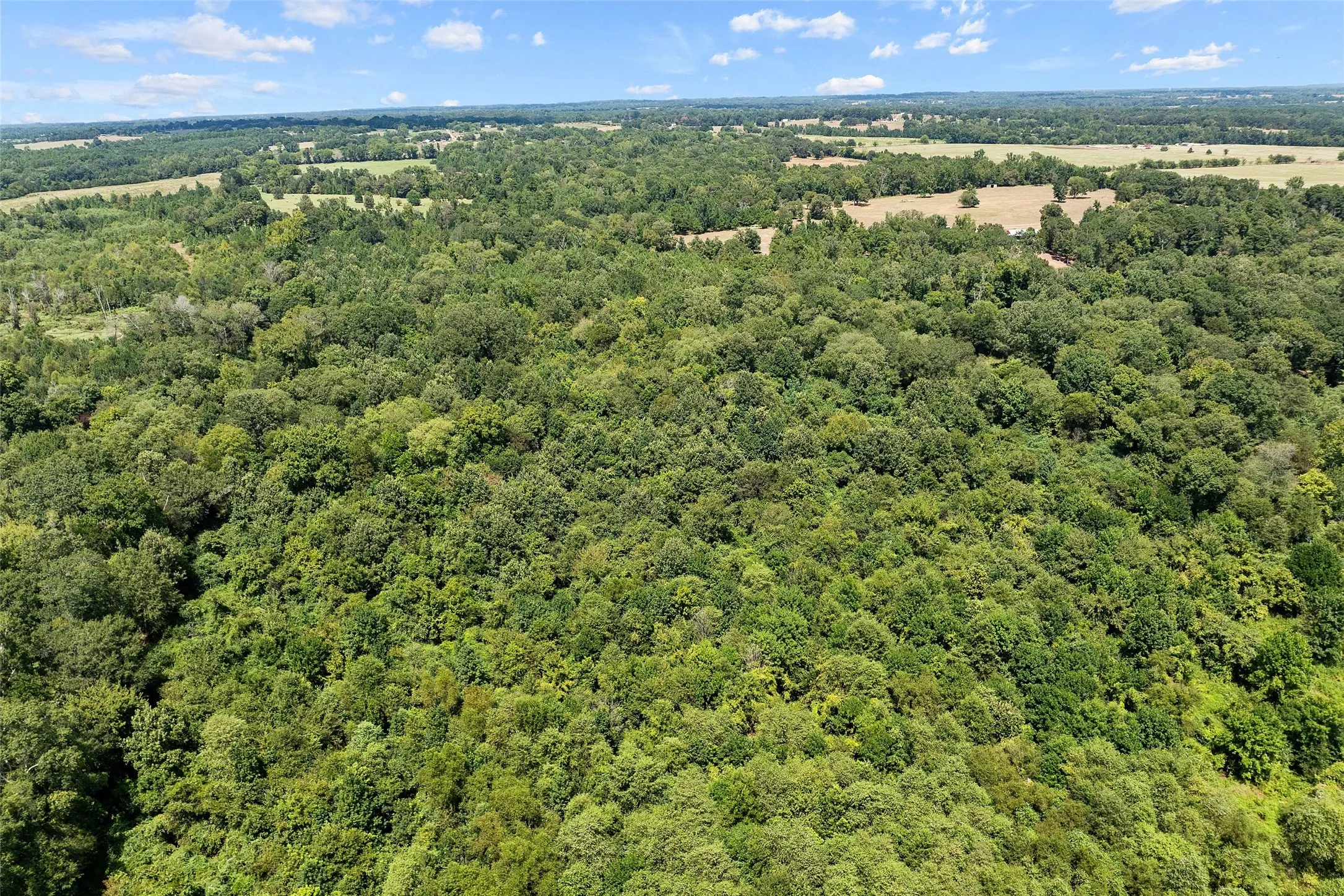 Improved Land For Sale in Morris County , 459 County Road 3303, Omaha, Texas 75571, 0, 0, Garage spaces, 0 Sqft, built in 0, mls#21354528, Real Estate Agent in Omaha, Homes For Sale in Morris county, Homes For Sale in Omaha, Realtor in Omaha Texas, Real Estate Brokerage Independent Realty Texas, Luminita Cordes Realtor