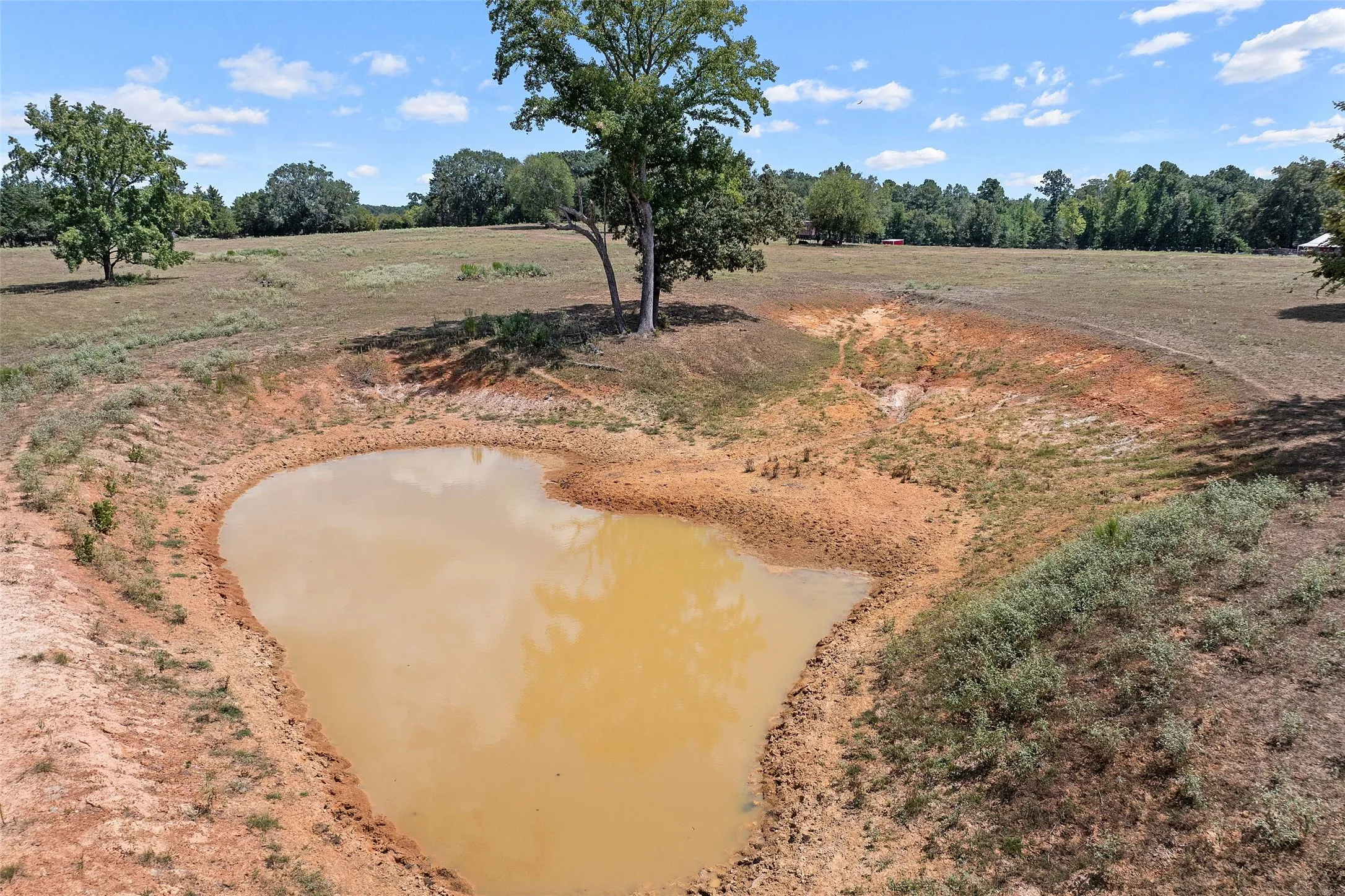 Improved Land For Sale in Morris County , 459 County Road 3303, Omaha, Texas 75571, 0, 0, Garage spaces, 0 Sqft, built in 0, mls#21354528, Real Estate Agent in Omaha, Homes For Sale in Morris county, Homes For Sale in Omaha, Realtor in Omaha Texas, Real Estate Brokerage Independent Realty Texas, Luminita Cordes Realtor