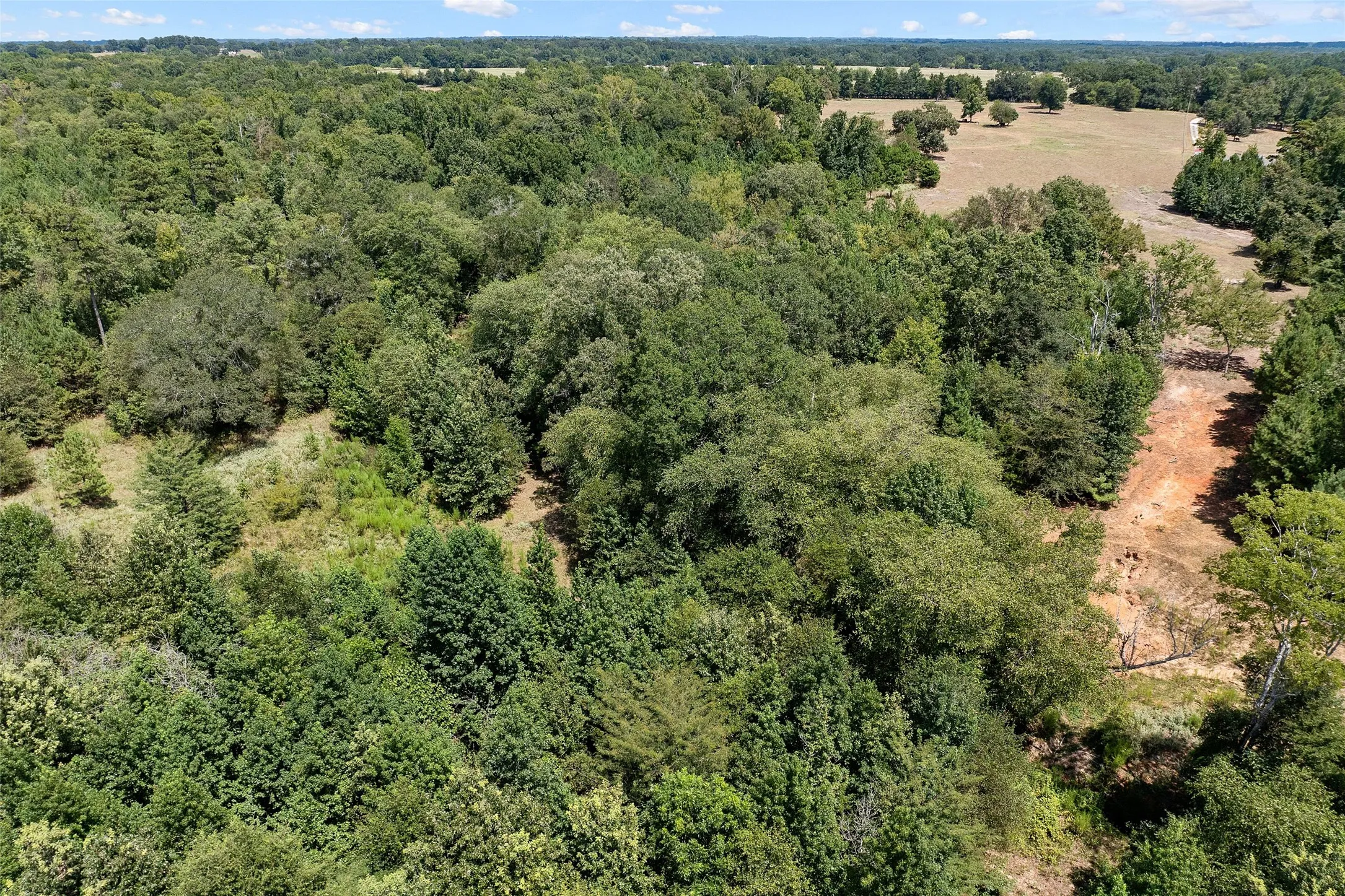 Improved Land For Sale in Morris County , 459 County Road 3303, Omaha, Texas 75571, 0, 0, Garage spaces, 0 Sqft, built in 0, mls#21354528, Real Estate Agent in Omaha, Homes For Sale in Morris county, Homes For Sale in Omaha, Realtor in Omaha Texas, Real Estate Brokerage Independent Realty Texas, Luminita Cordes Realtor