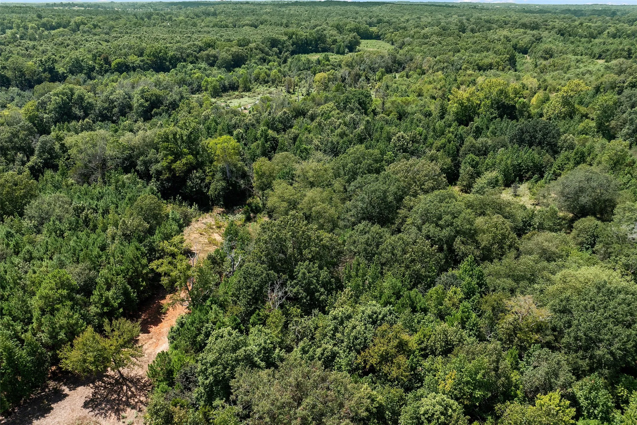 Improved Land For Sale in Morris County , 459 County Road 3303, Omaha, Texas 75571, 0, 0, Garage spaces, 0 Sqft, built in 0, mls#21354528, Real Estate Agent in Omaha, Homes For Sale in Morris county, Homes For Sale in Omaha, Realtor in Omaha Texas, Real Estate Brokerage Independent Realty Texas, Luminita Cordes Realtor