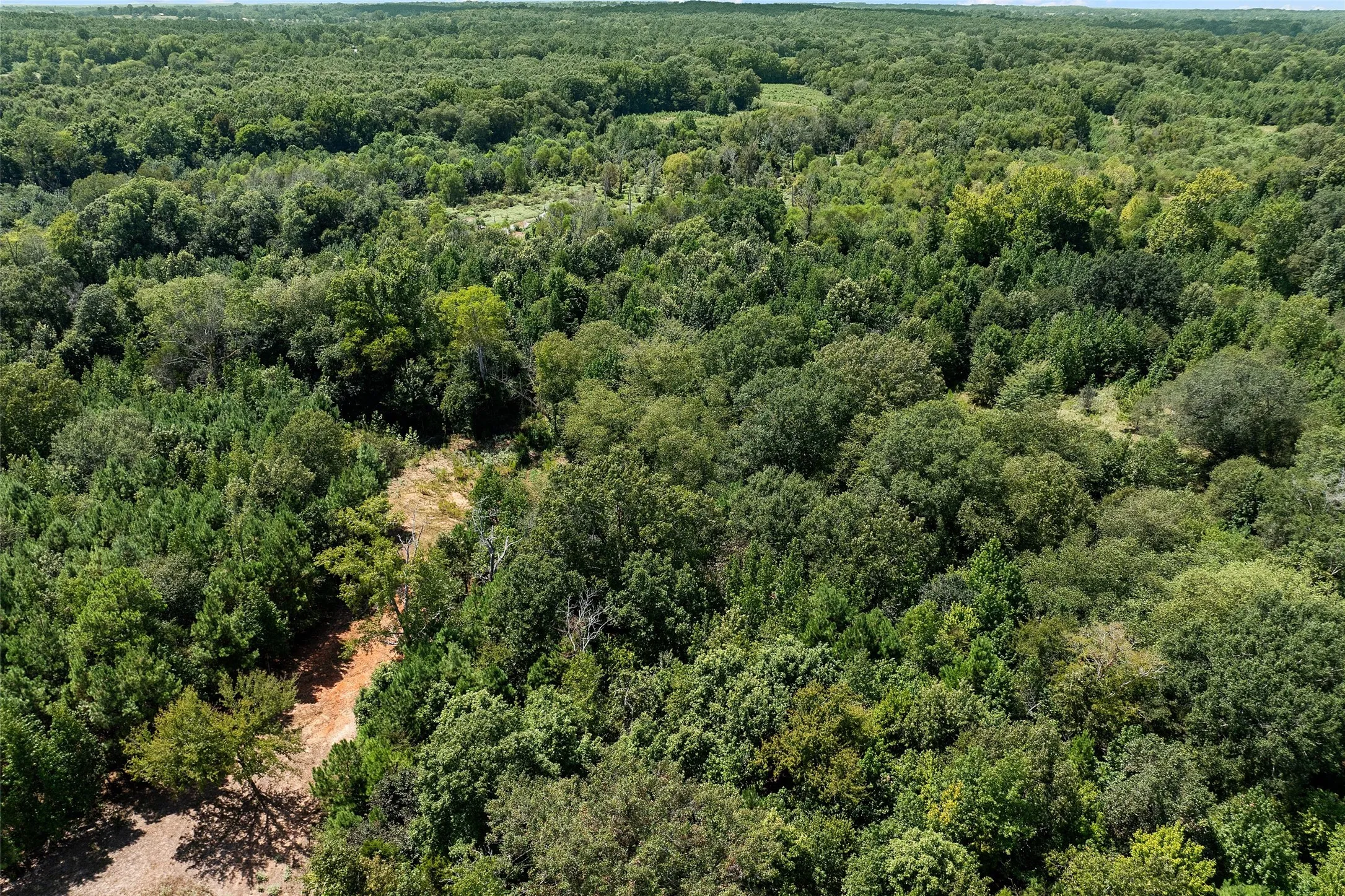 Improved Land For Sale in Morris County , 459 County Road 3303, Omaha, Texas 75571, 0, 0, Garage spaces, 0 Sqft, built in 0, mls#21354528, Real Estate Agent in Omaha, Homes For Sale in Morris county, Homes For Sale in Omaha, Realtor in Omaha Texas, Real Estate Brokerage Independent Realty Texas, Luminita Cordes Realtor