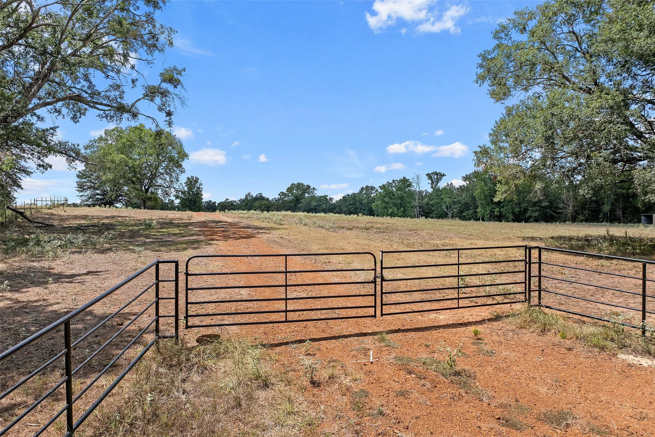 Improved Land For Sale in Morris County , 459 County Road 3303, Omaha, Texas 75571, 0, 0, Garage spaces, 0 Sqft, built in 0, mls#21354528, Real Estate Agent in Omaha, Homes For Sale in Morris county, Homes For Sale in Omaha, Realtor in Omaha Texas, Real Estate Brokerage Independent Realty Texas, Luminita Cordes Realtor