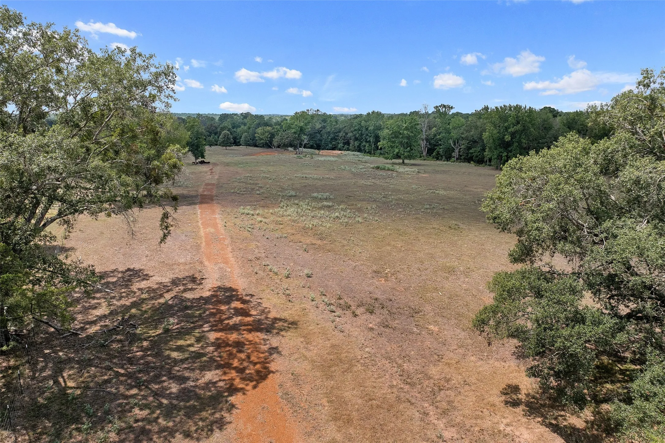 Improved Land For Sale in Morris County , 459 County Road 3303, Omaha, Texas 75571, 0, 0, Garage spaces, 0 Sqft, built in 0, mls#21354528, Real Estate Agent in Omaha, Homes For Sale in Morris county, Homes For Sale in Omaha, Realtor in Omaha Texas, Real Estate Brokerage Independent Realty Texas, Luminita Cordes Realtor