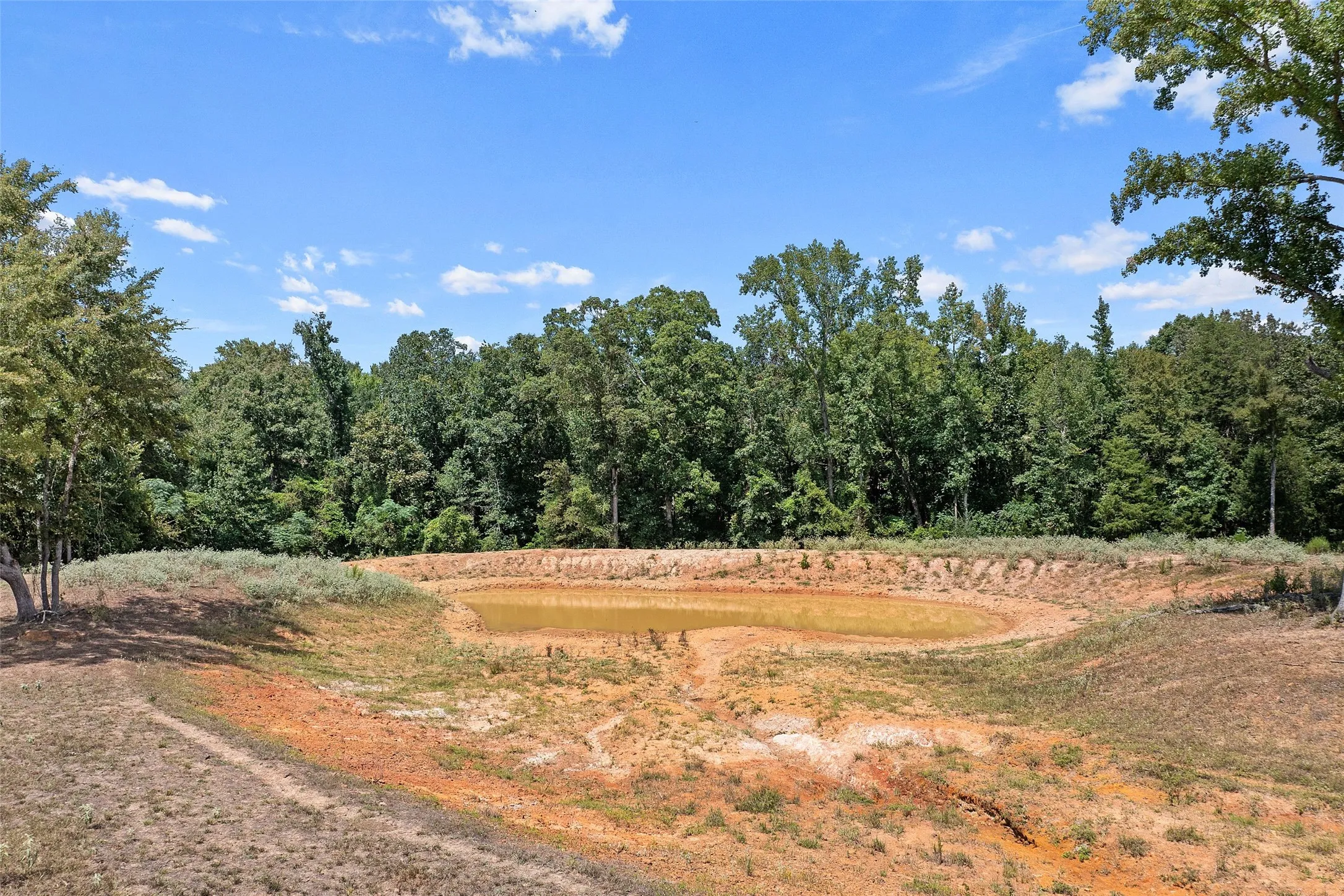 Improved Land For Sale in Morris County , 459 County Road 3303, Omaha, Texas 75571, 0, 0, Garage spaces, 0 Sqft, built in 0, mls#21354528, Real Estate Agent in Omaha, Homes For Sale in Morris county, Homes For Sale in Omaha, Realtor in Omaha Texas, Real Estate Brokerage Independent Realty Texas, Luminita Cordes Realtor
