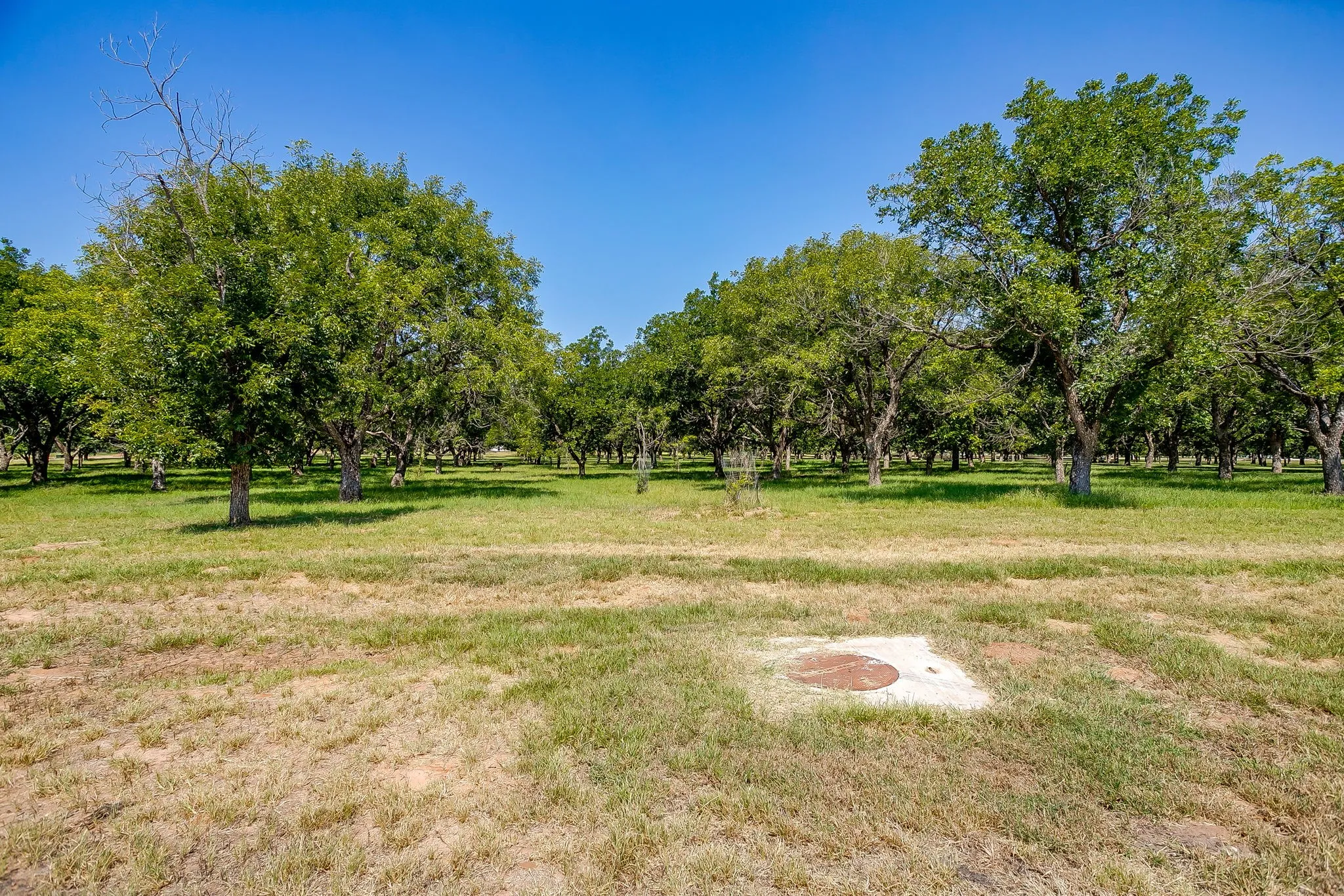 Unimproved Land For Sale in Hood County , 2531 Buckskin Drive, Granbury, Texas 76049, 0, 0, Garage spaces, 0 Sqft, built in 0, Price $225,000, mls#21354529, Real Estate Agent in Granbury, Homes For Sale in Hood county, Homes For Sale in Granbury, Realtor in Granbury Texas, Real Estate Brokerage Independent Realty Texas, Luminita Cordes Realtor