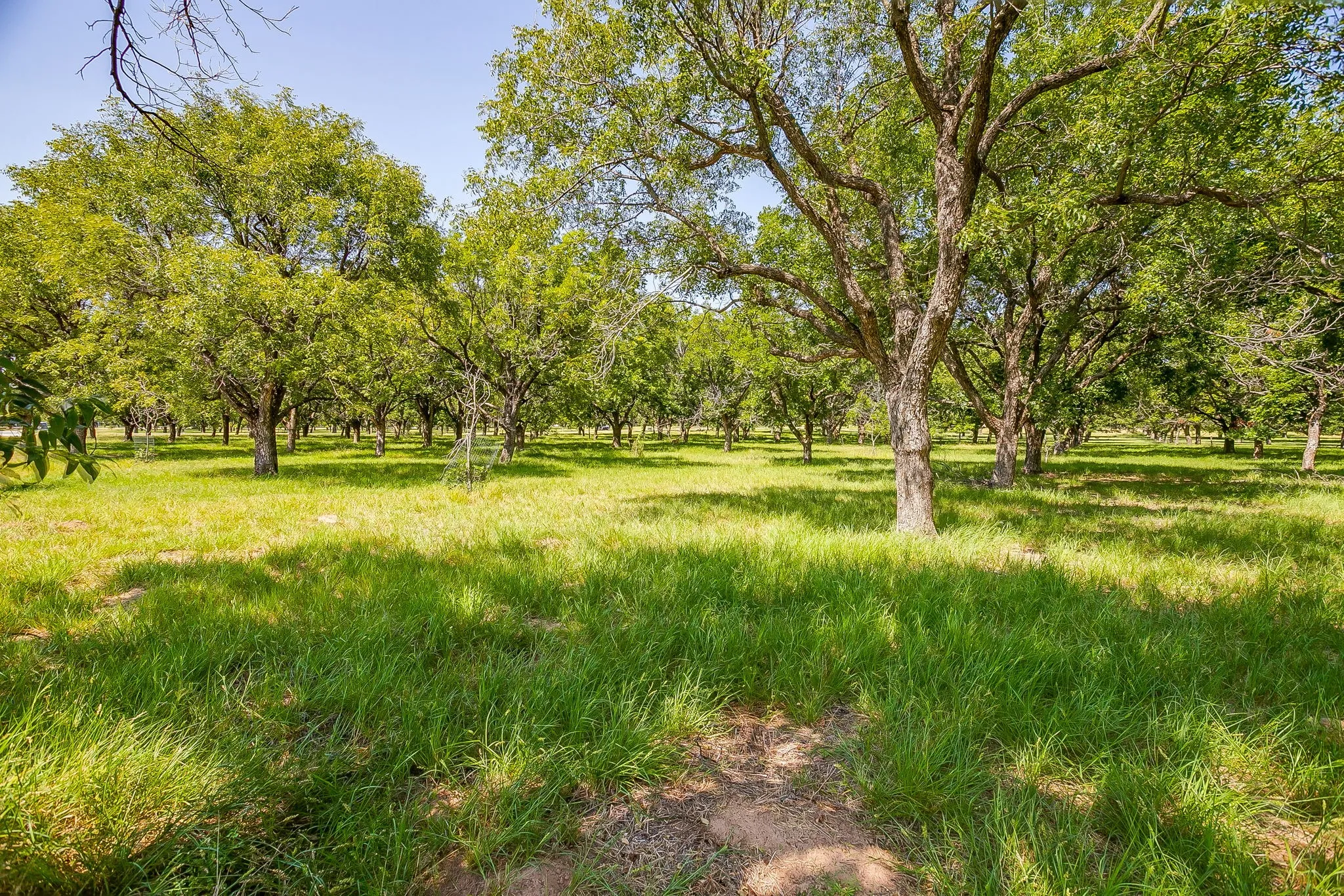 Unimproved Land For Sale in Hood County , 2531 Buckskin Drive, Granbury, Texas 76049, 0, 0, Garage spaces, 0 Sqft, built in 0, Price $225,000, mls#21354529, Real Estate Agent in Granbury, Homes For Sale in Hood county, Homes For Sale in Granbury, Realtor in Granbury Texas, Real Estate Brokerage Independent Realty Texas, Luminita Cordes Realtor