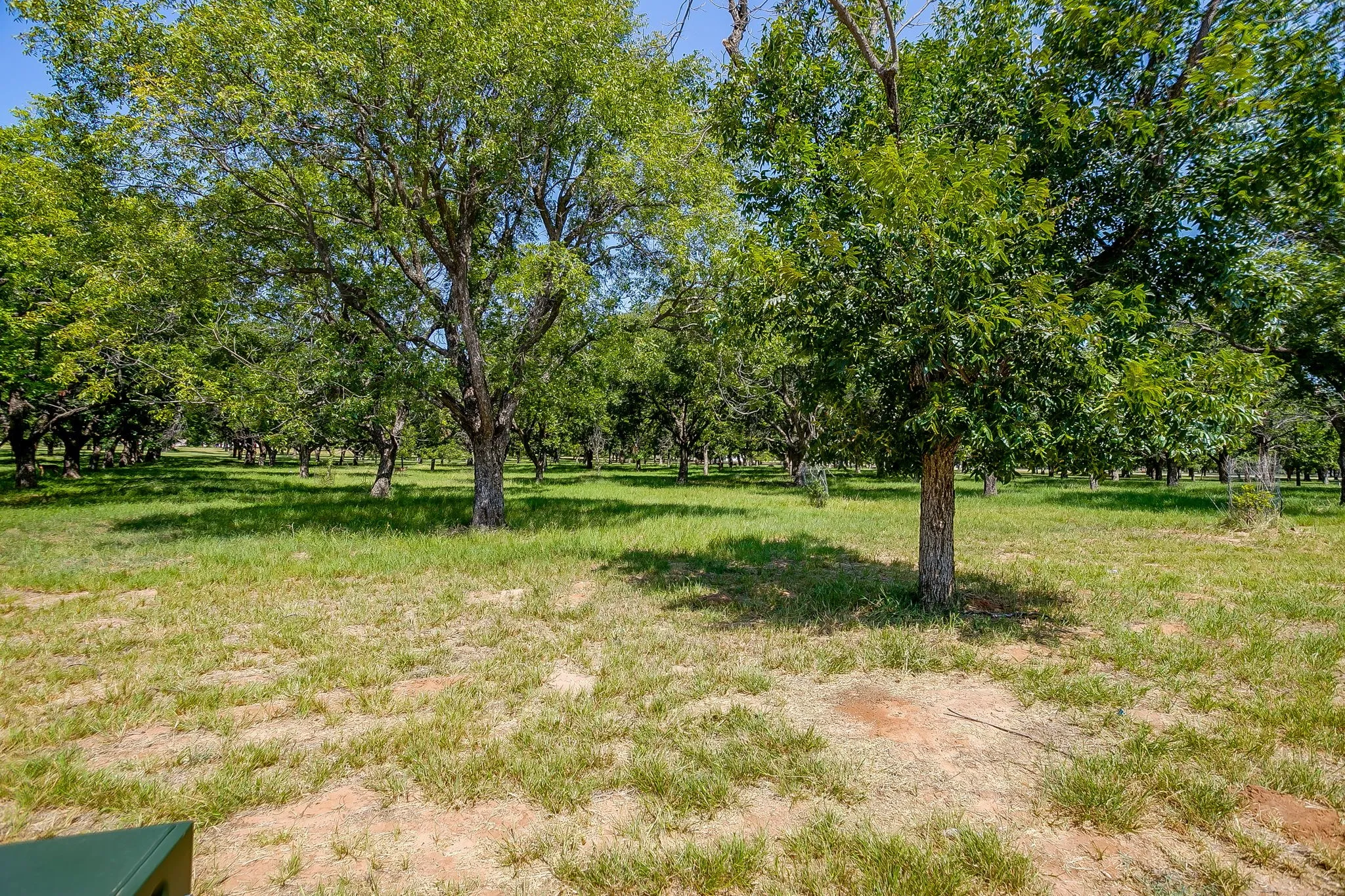 Unimproved Land For Sale in Hood County , 2531 Buckskin Drive, Granbury, Texas 76049, 0, 0, Garage spaces, 0 Sqft, built in 0, Price $225,000, mls#21354529, Real Estate Agent in Granbury, Homes For Sale in Hood county, Homes For Sale in Granbury, Realtor in Granbury Texas, Real Estate Brokerage Independent Realty Texas, Luminita Cordes Realtor