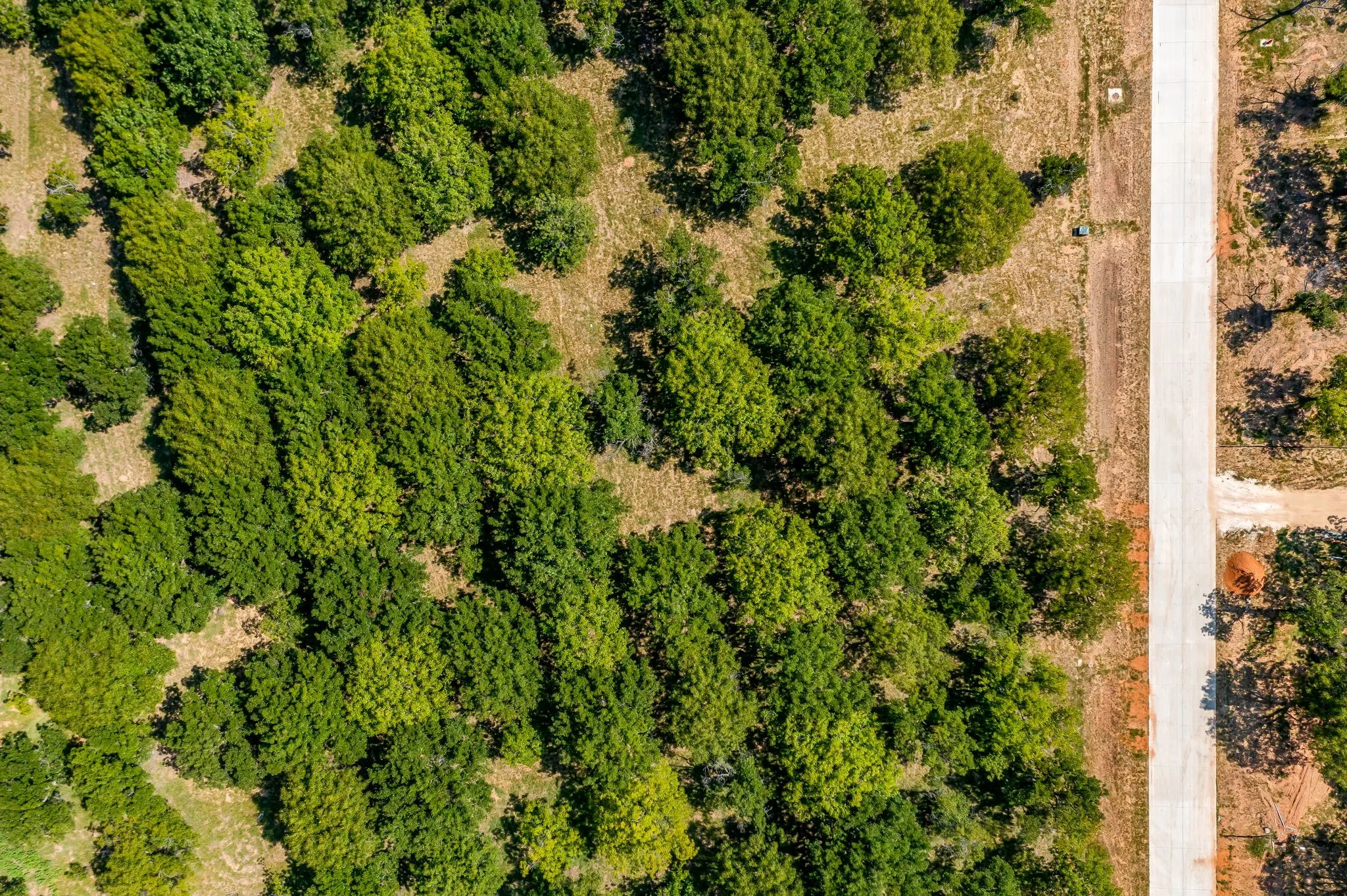 Unimproved Land For Sale in Hood County , 2531 Buckskin Drive, Granbury, Texas 76049, 0, 0, Garage spaces, 0 Sqft, built in 0, Price $225,000, mls#21354529, Real Estate Agent in Granbury, Homes For Sale in Hood county, Homes For Sale in Granbury, Realtor in Granbury Texas, Real Estate Brokerage Independent Realty Texas, Luminita Cordes Realtor