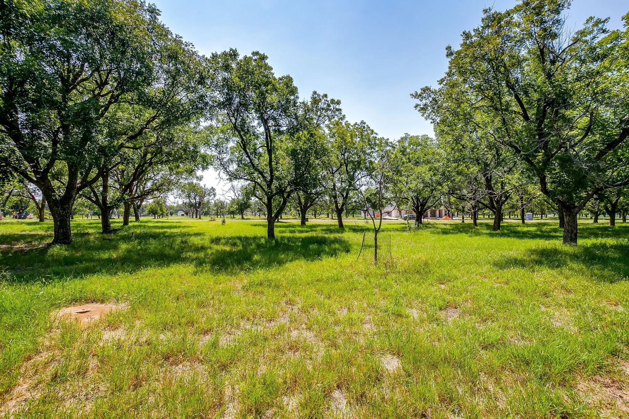 Unimproved Land For Sale in Hood County , 2531 Buckskin Drive, Granbury, Texas 76049, 0, 0, Garage spaces, 0 Sqft, built in 0, Price $225,000, mls#21354529, Real Estate Agent in Granbury, Homes For Sale in Hood county, Homes For Sale in Granbury, Realtor in Granbury Texas, Real Estate Brokerage Independent Realty Texas, Luminita Cordes Realtor