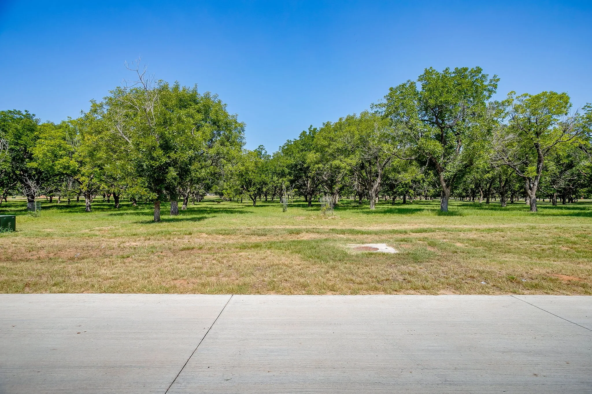 Unimproved Land For Sale in Hood County , 2531 Buckskin Drive, Granbury, Texas 76049, 0, 0, Garage spaces, 0 Sqft, built in 0, Price $225,000, mls#21354529, Real Estate Agent in Granbury, Homes For Sale in Hood county, Homes For Sale in Granbury, Realtor in Granbury Texas, Real Estate Brokerage Independent Realty Texas, Luminita Cordes Realtor