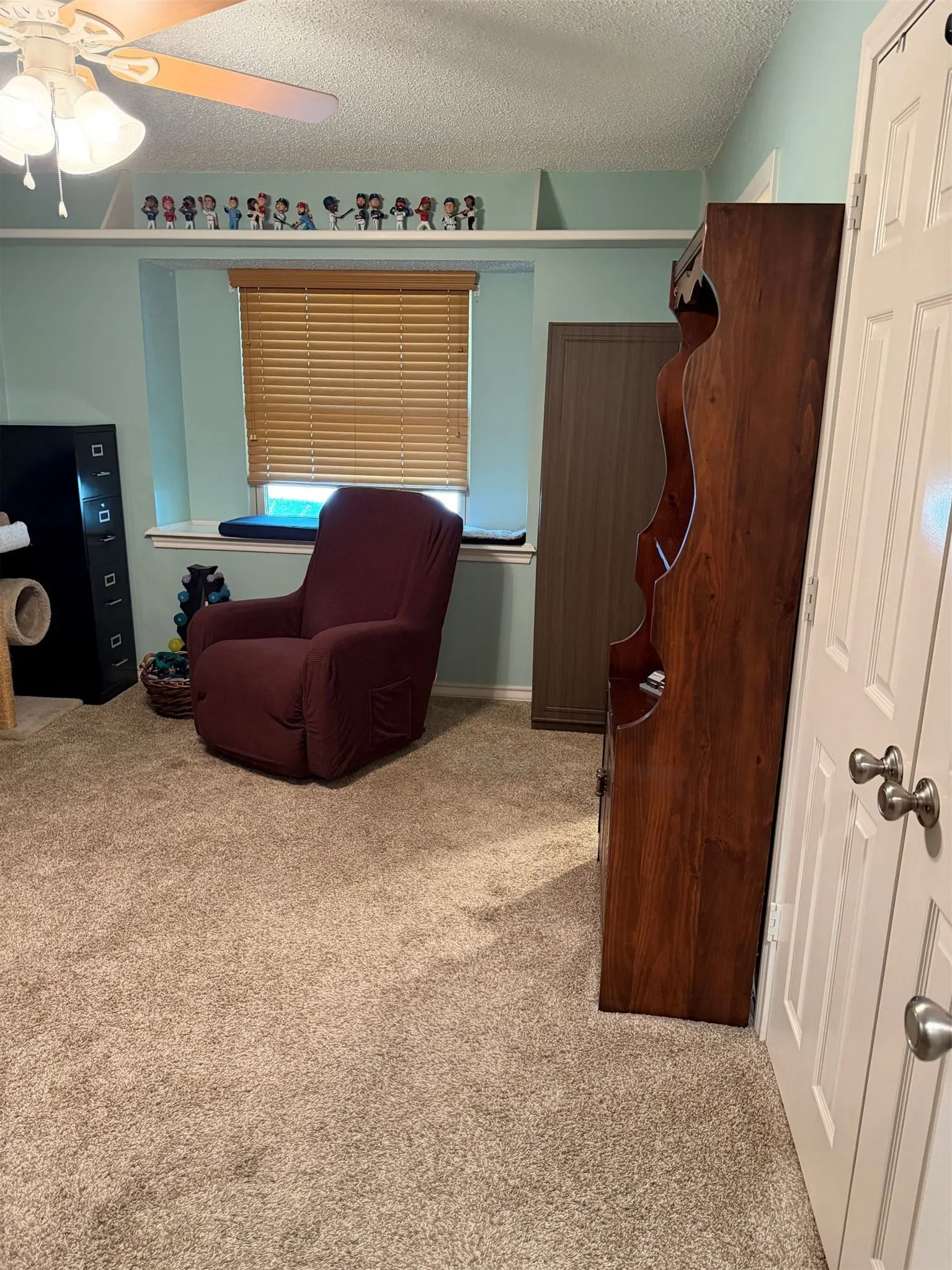 Textured carpeting with a window featuring wood-finish blinds, and a built-in display shelf