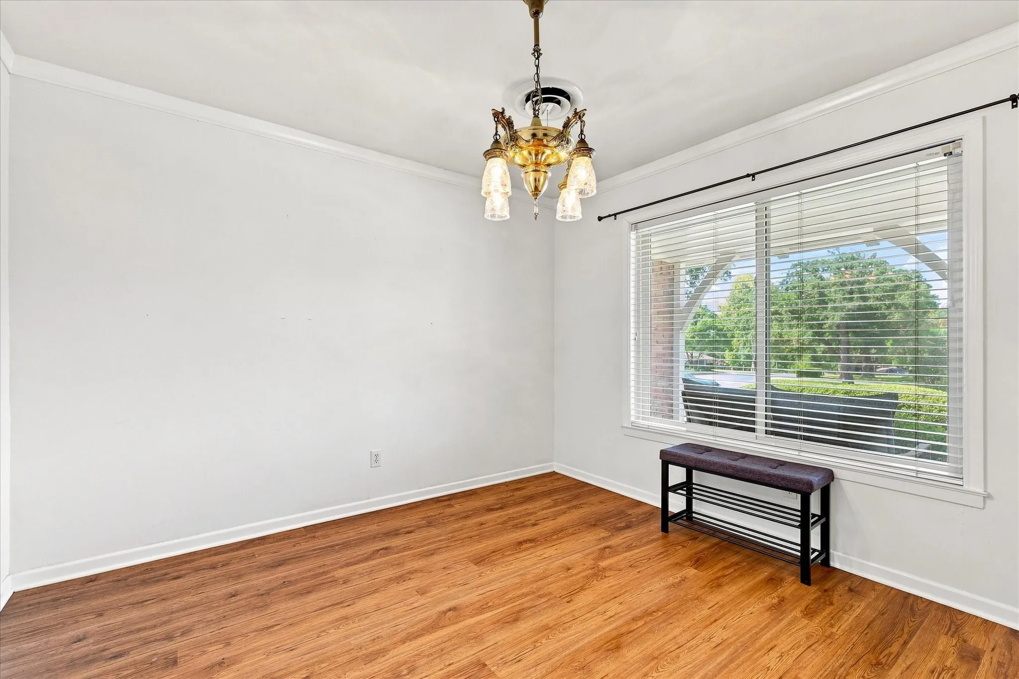 Formal Dining Room/or Bonus Room