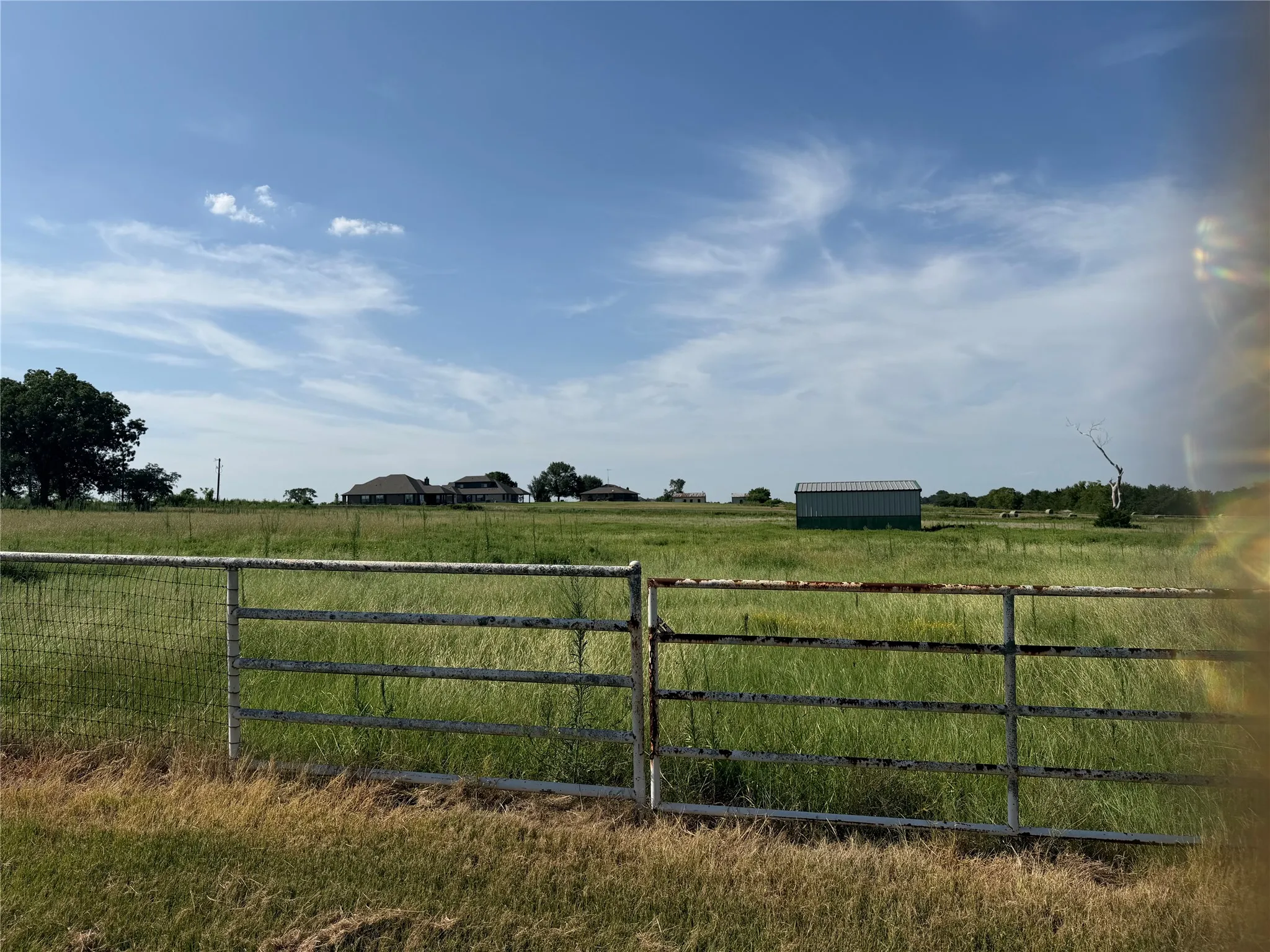 Pasture.