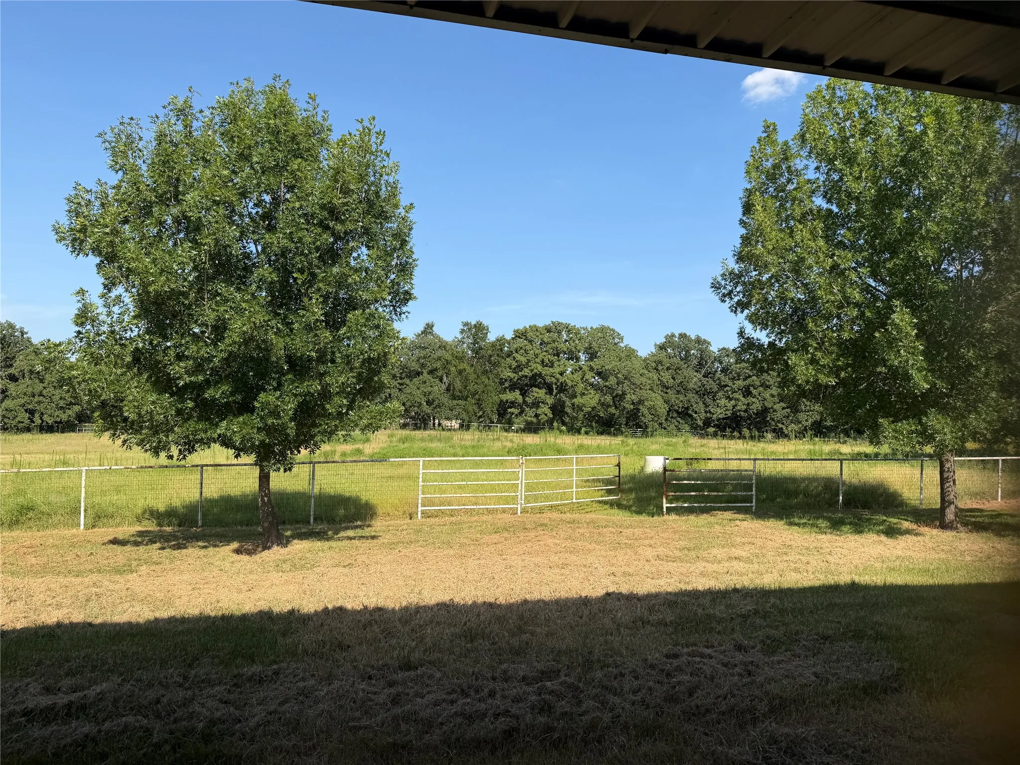 View of pastures.