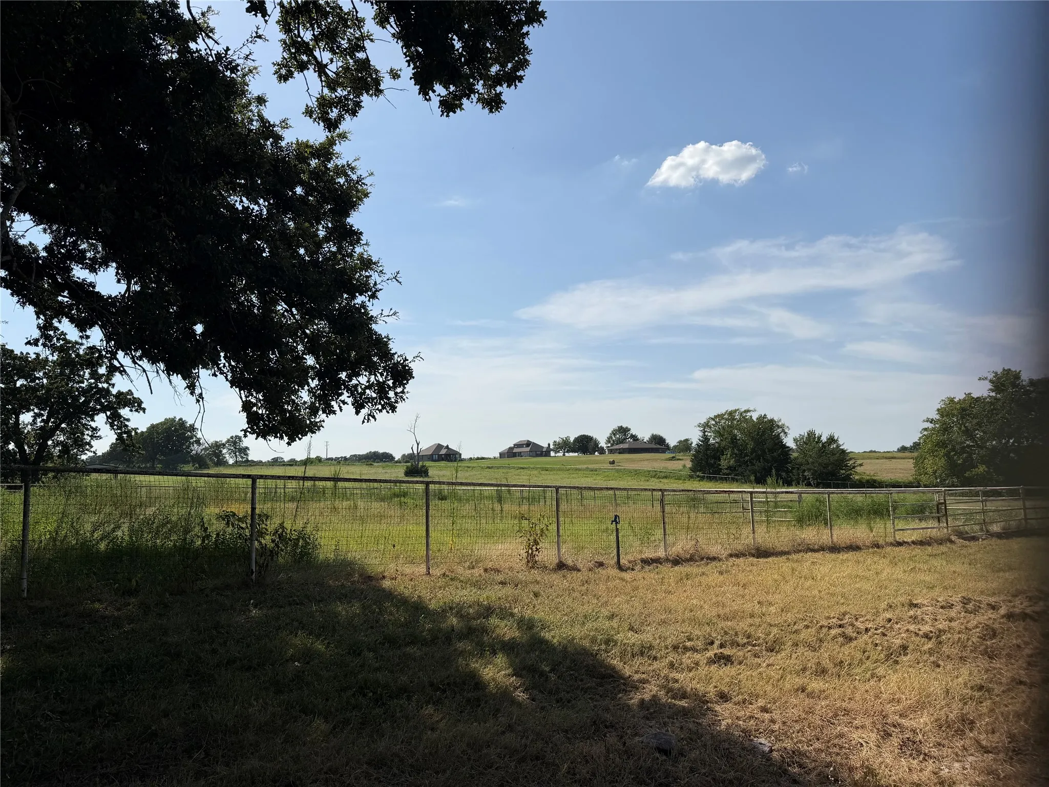 Pastures have good coastal grass.