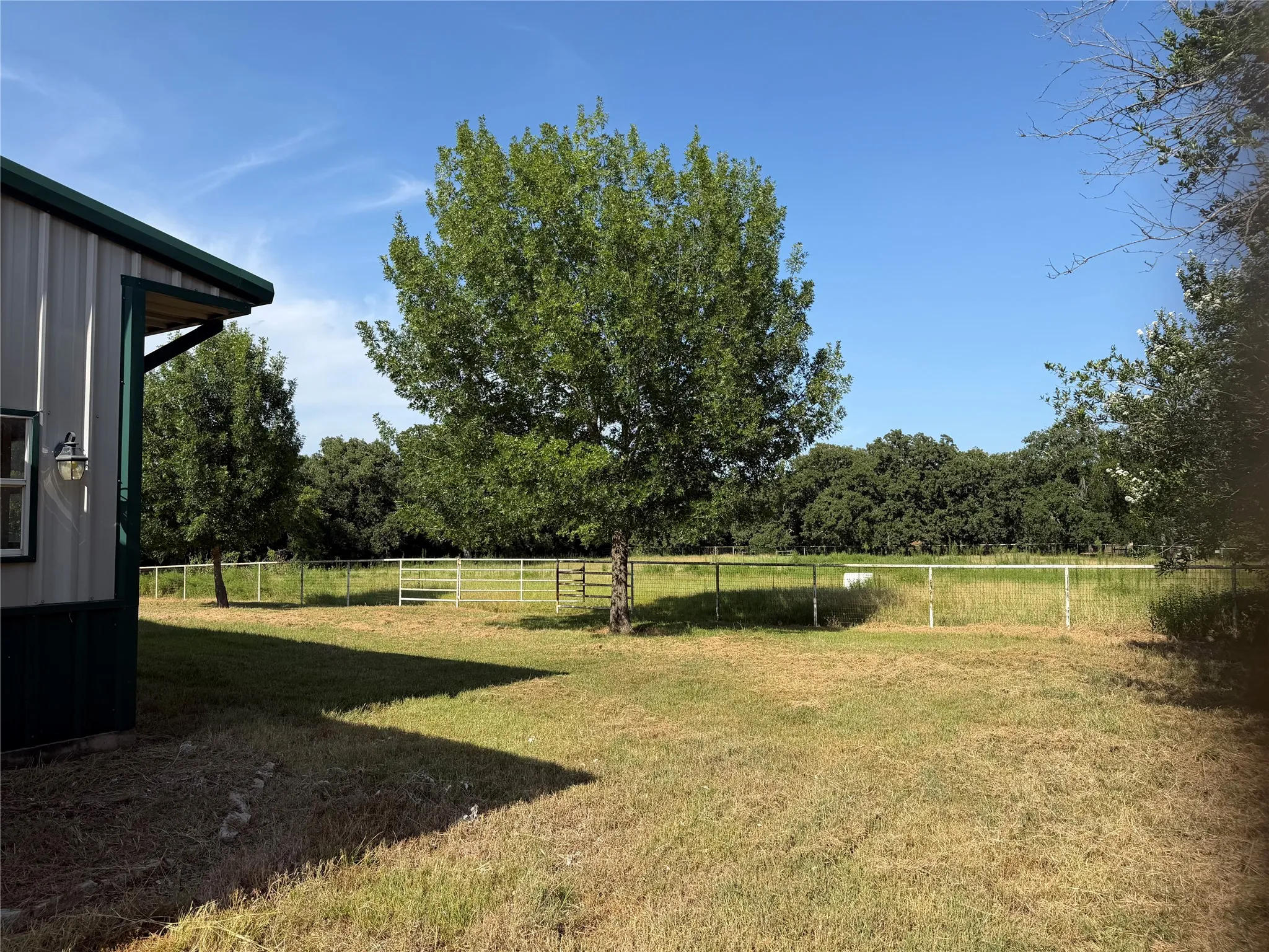 Outside  the barn.