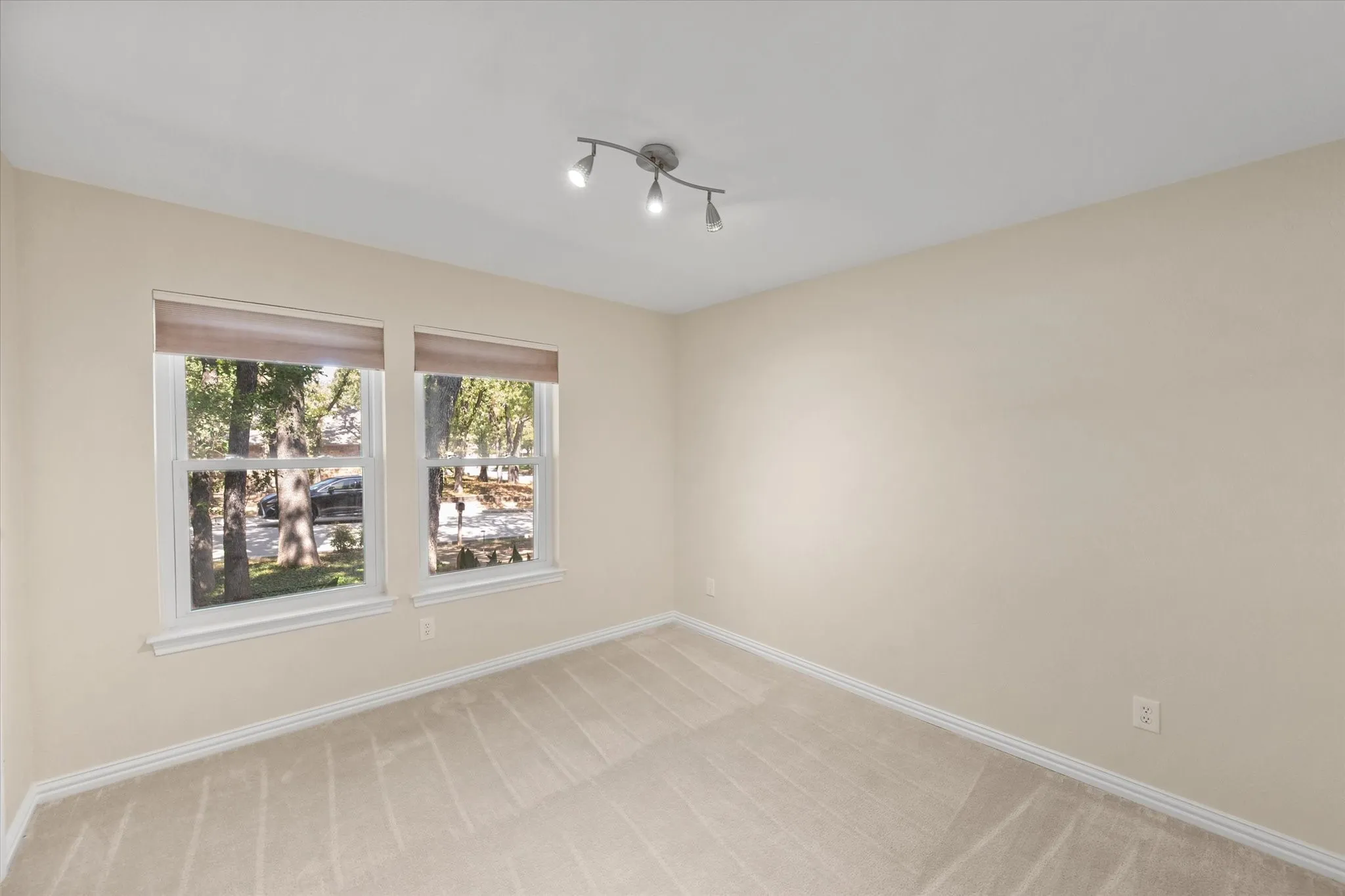 Neutral wall paint, track lighting, two windows with window treatments, and carpet flooring