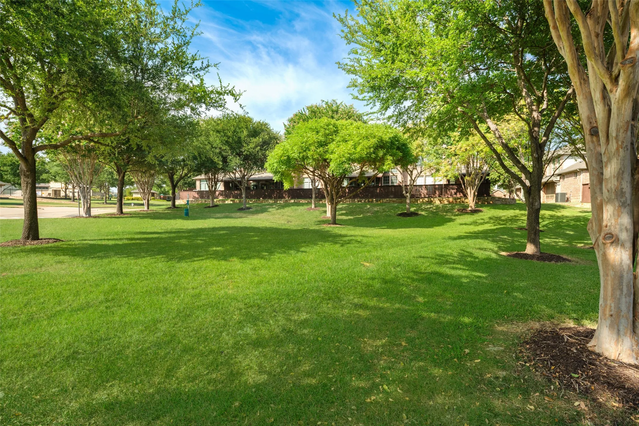 Treed green space behind patio