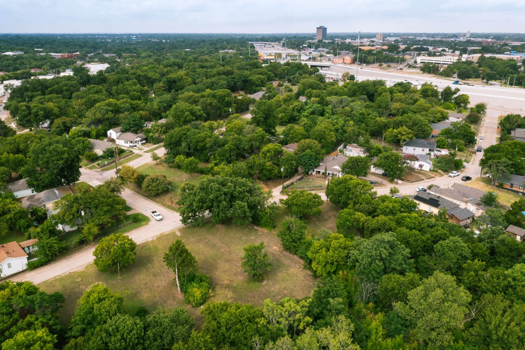 Residential area with extensive tree coverage
