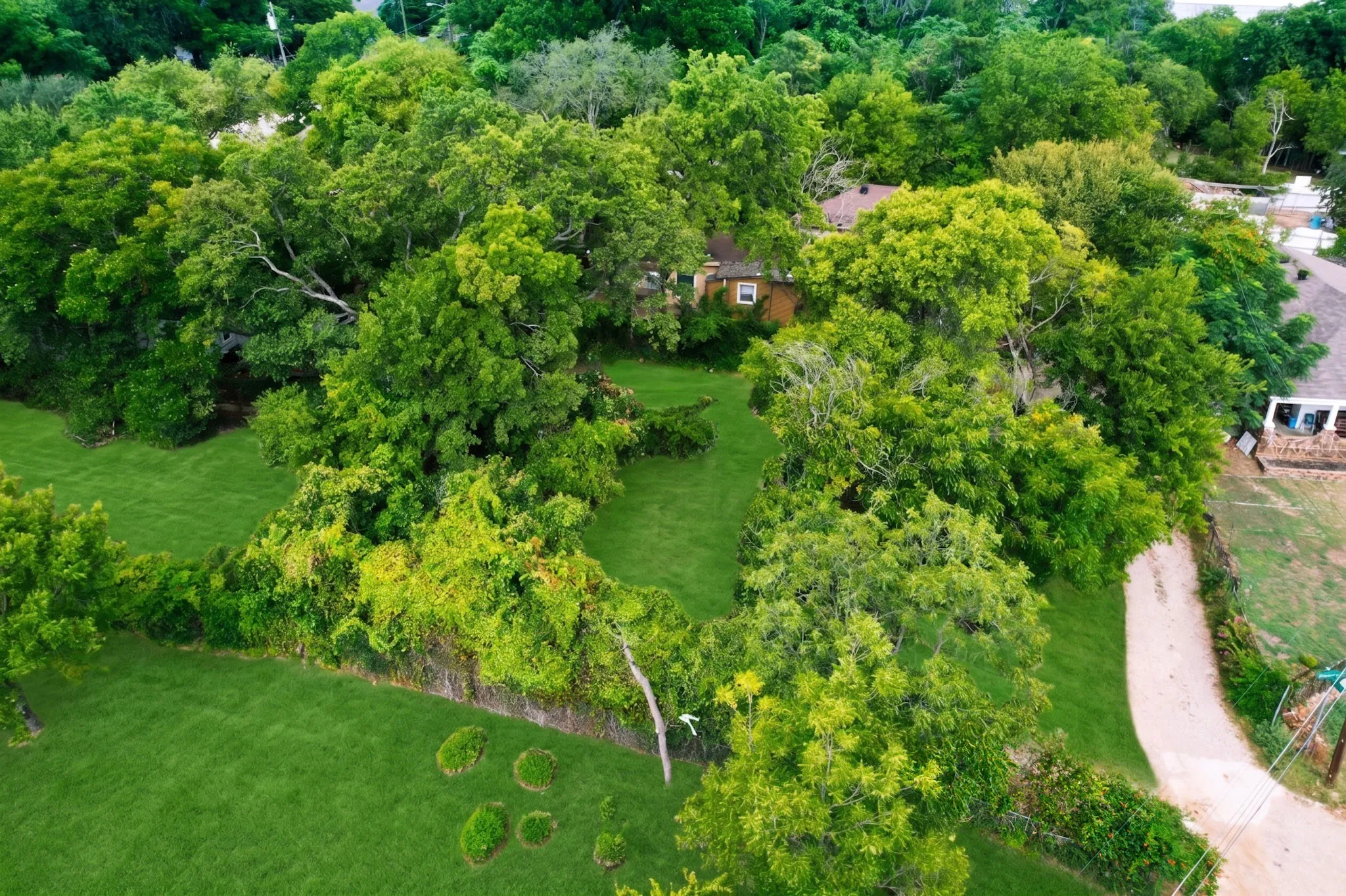 Expansive green lawn surrounded by mature trees and a gravel path