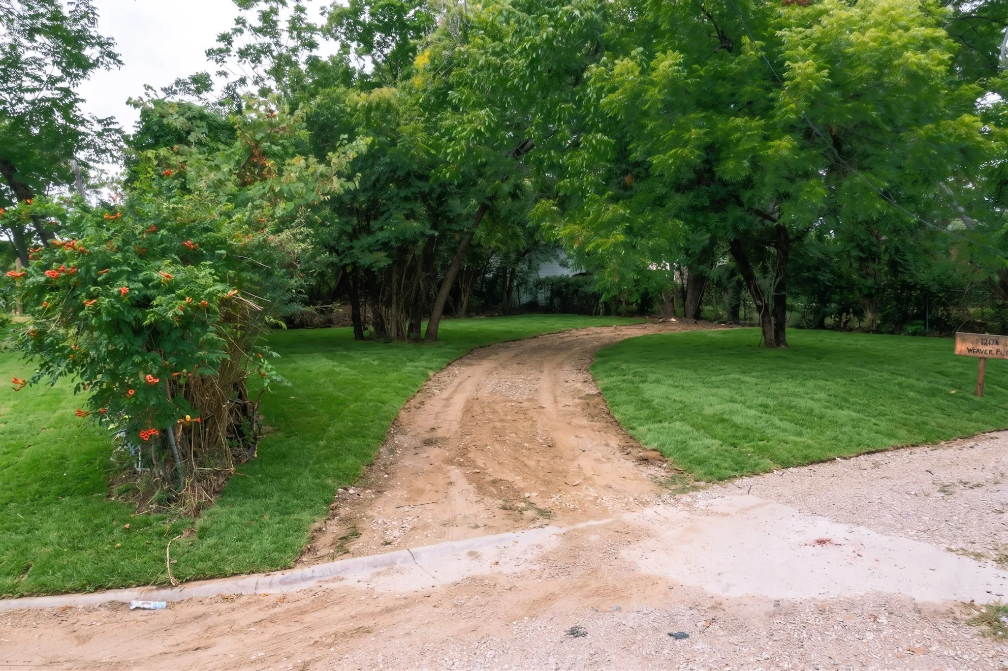 Spacious lot with beautiful mature trees and a gravel pathway