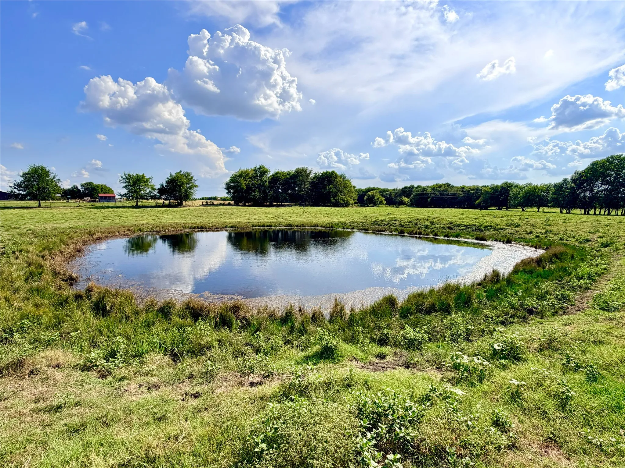 Expansive green pastureland featuring a private pond, mature trees, and a distant red barn structure