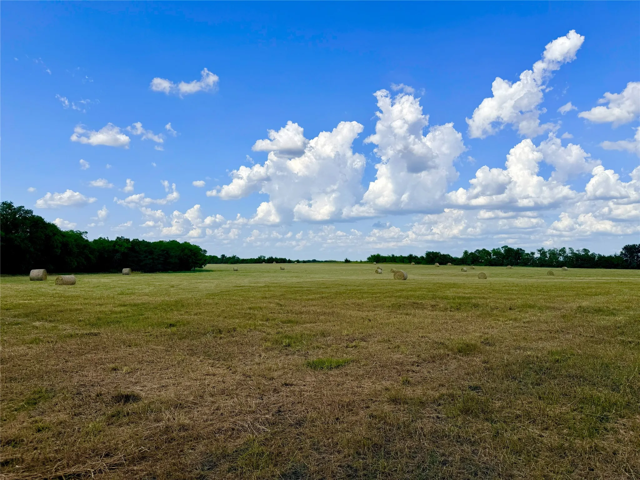 Expansive open field with green and brown grass, featuring scattered hay bales