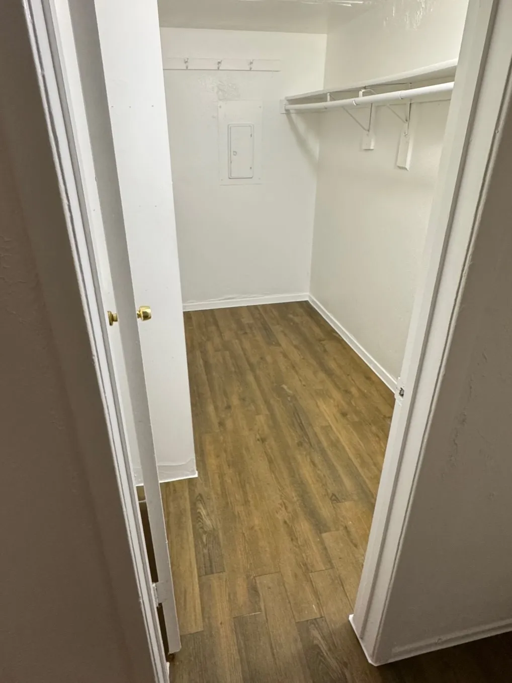 Walk-in closet featuring wood-finish flooring, white walls, and built-in shelving