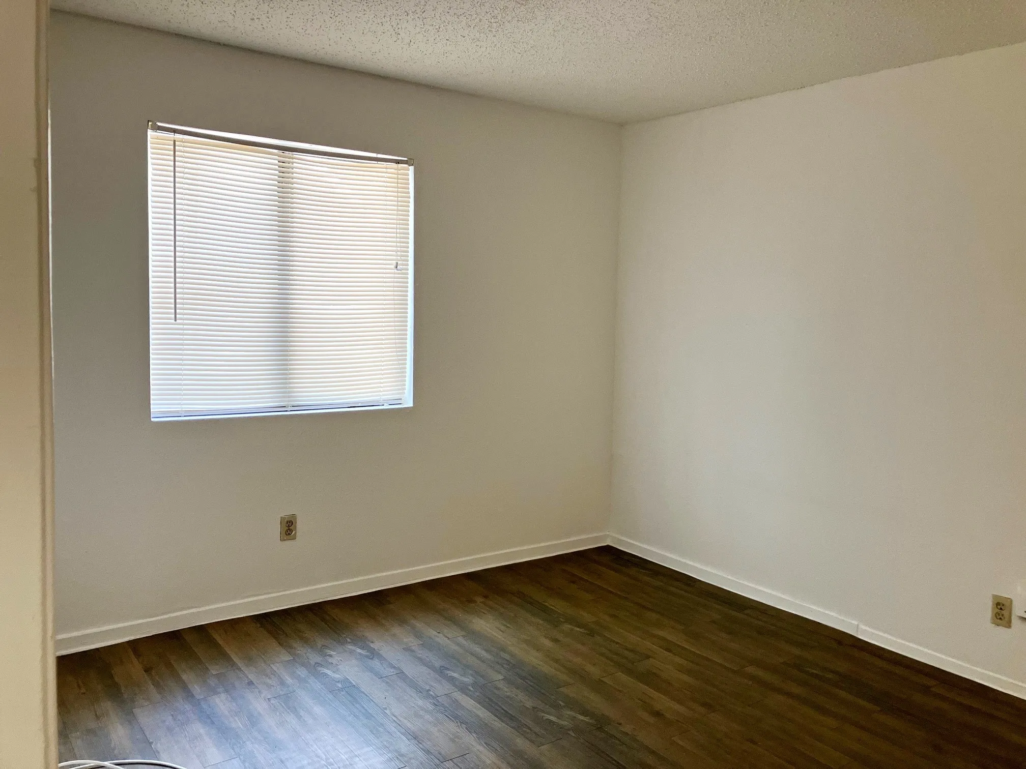 Window with horizontal blinds, neutral wall paint, wood-finish flooring, and white trim