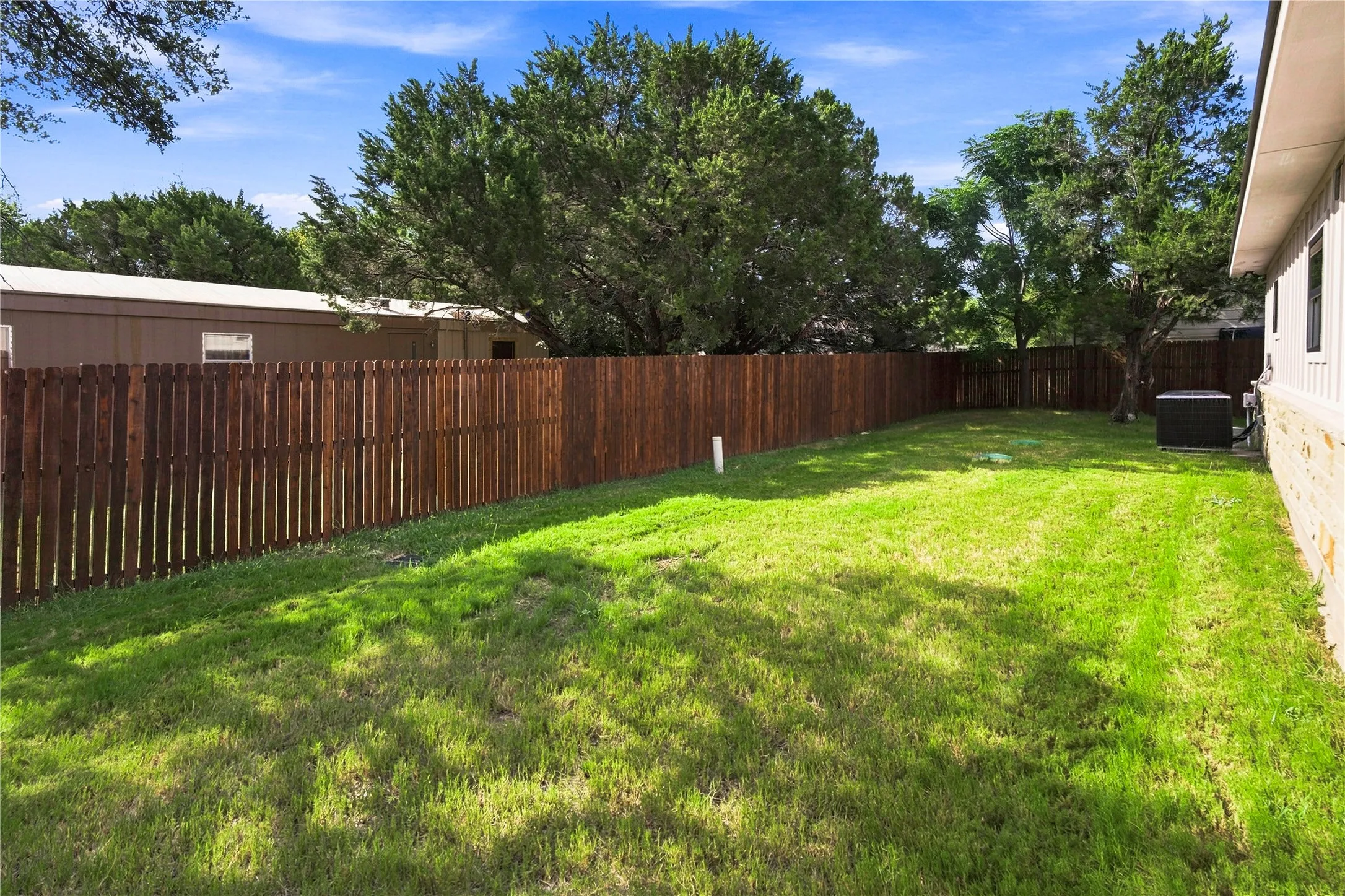 Back Yard