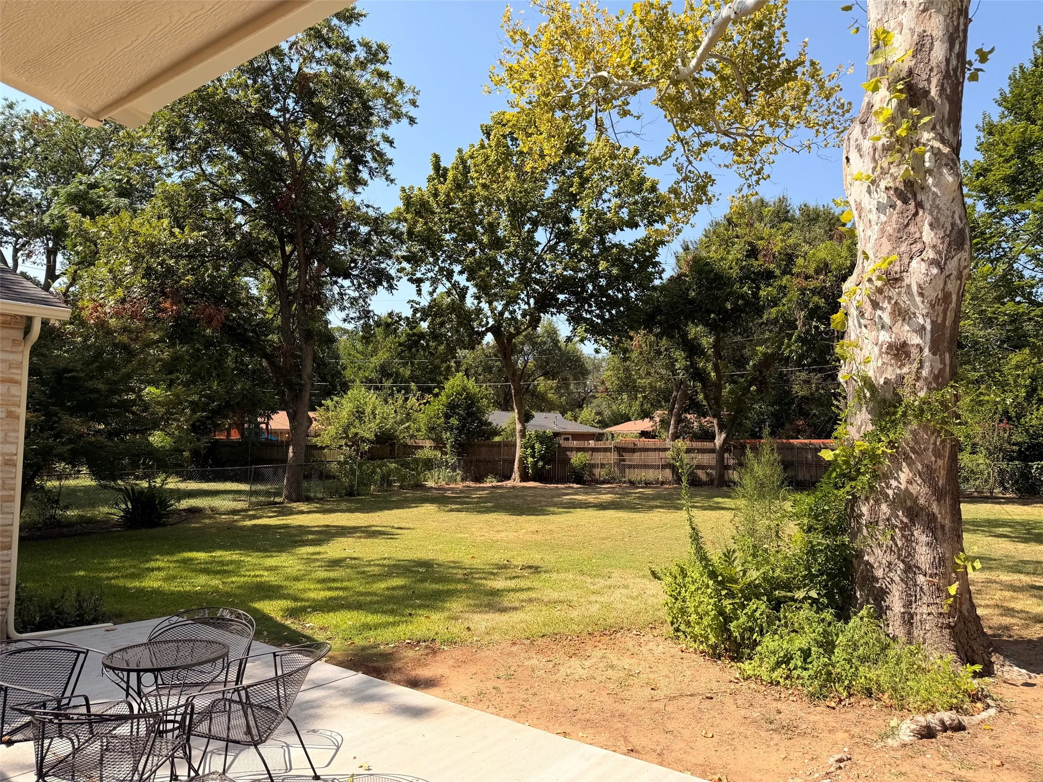 Expansive backyard featuring a manicured lawn, mature trees, and a concrete patio